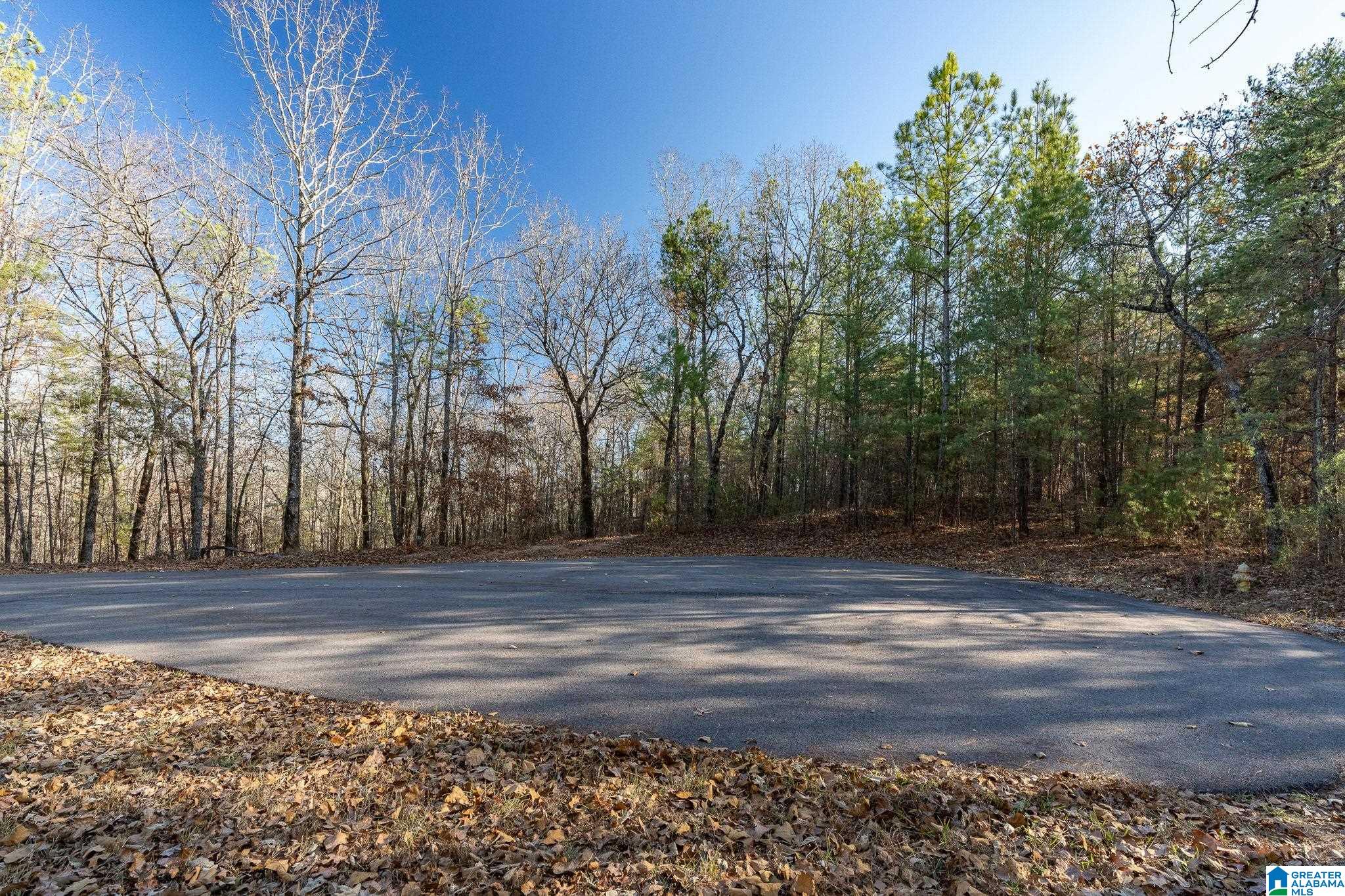 Lot 13/14 Heritage Lake Drive Property Photo 12
