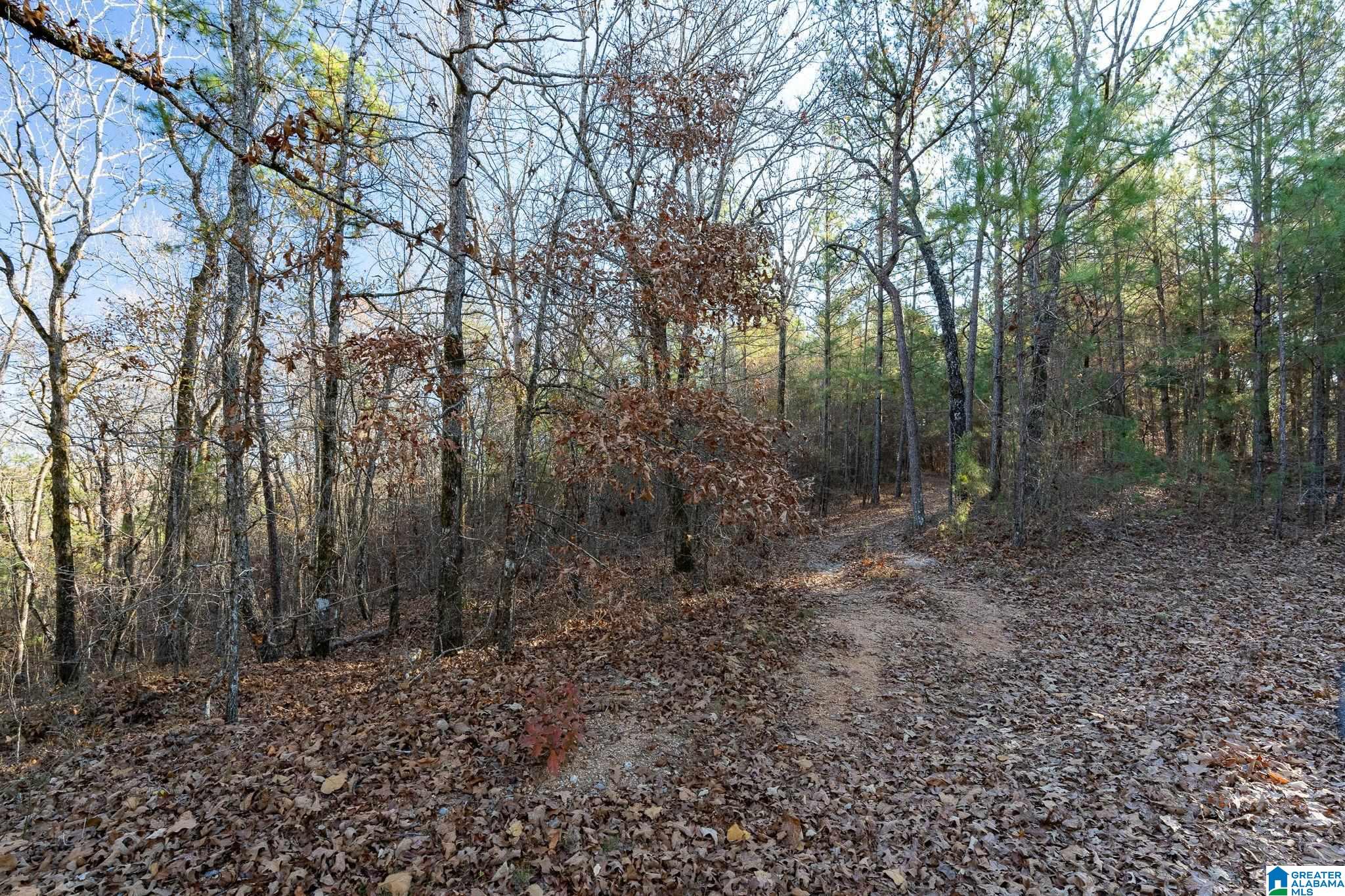 Lot 13/14 Heritage Lake Drive Property Photo 13