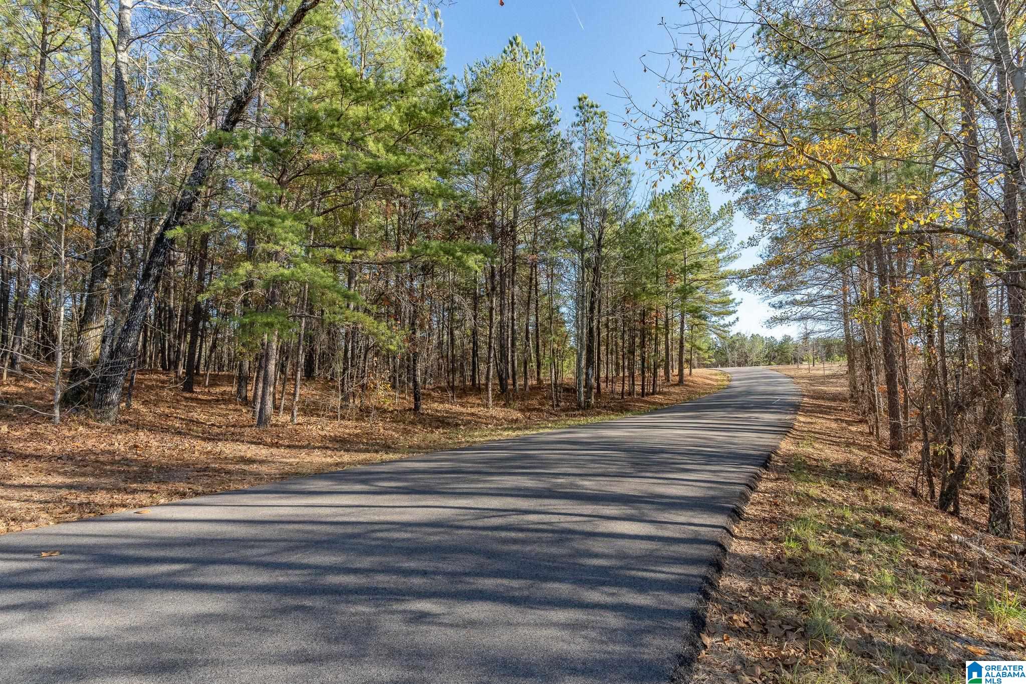Lot 13/14 Heritage Lake Drive Property Photo 18