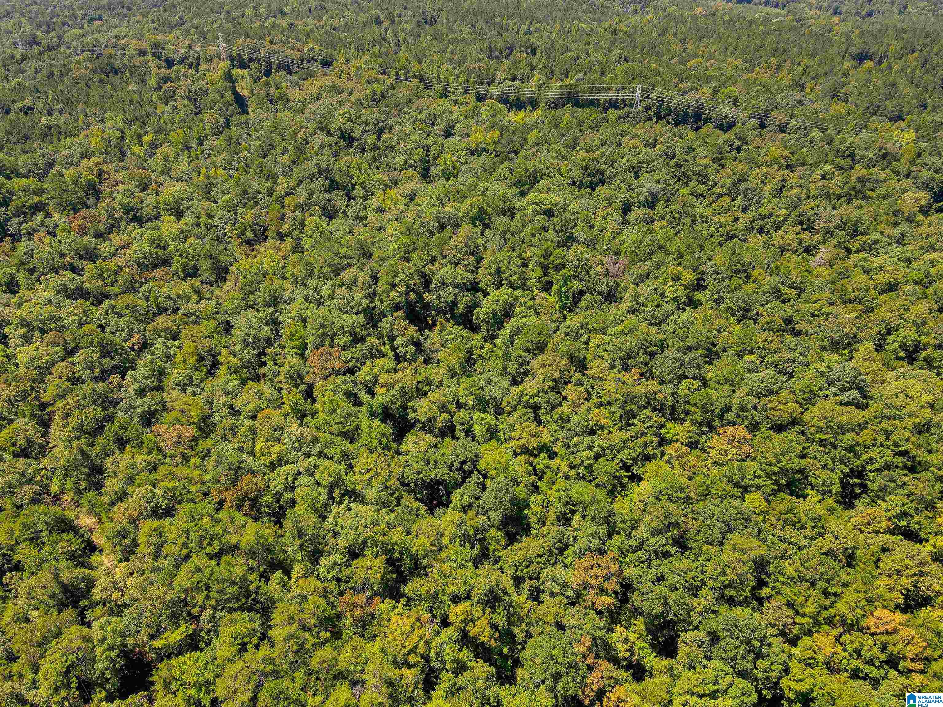 2011 County Road 256 Property Photo 15