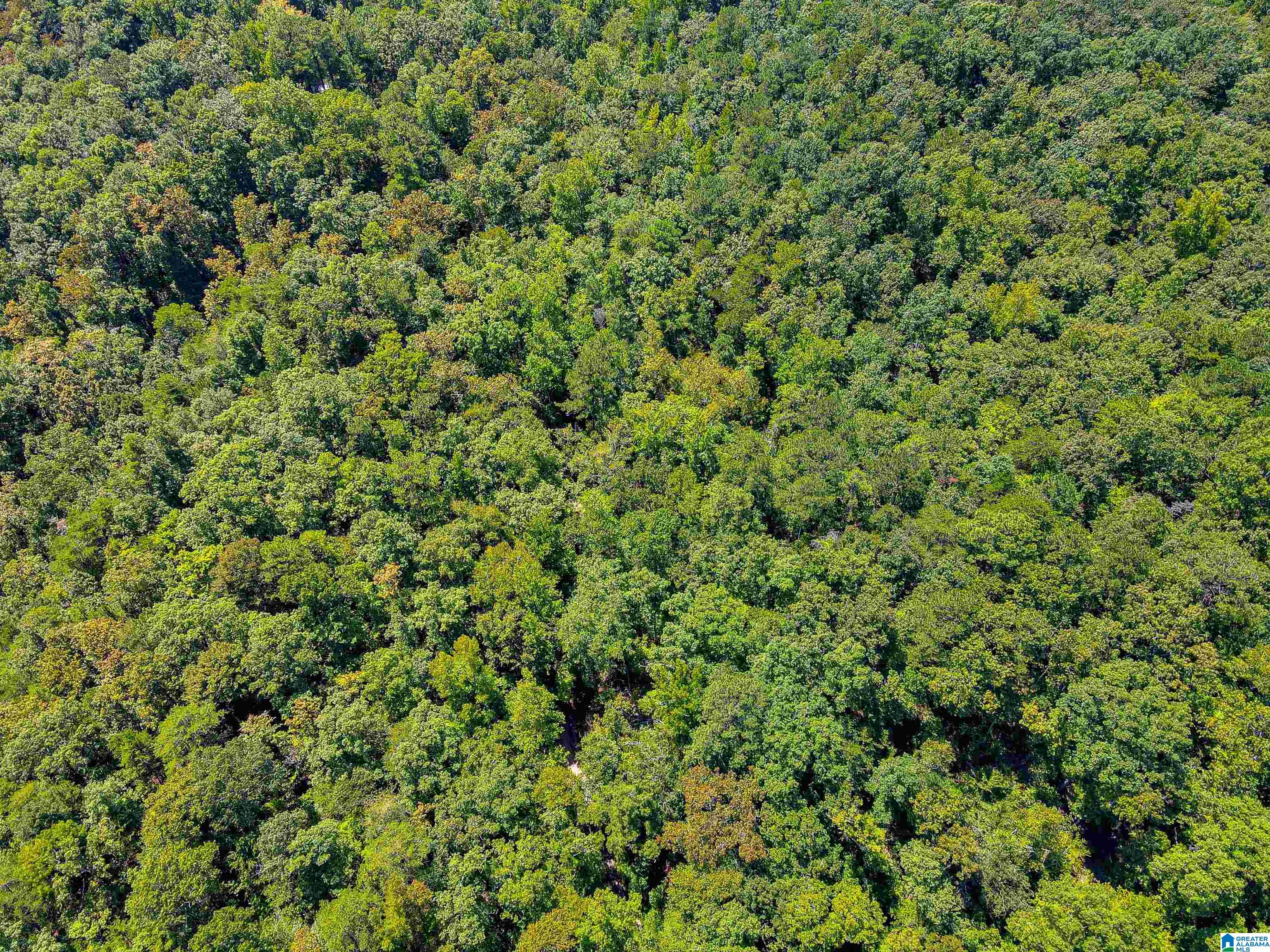 2011 County Road 256 Property Photo 16