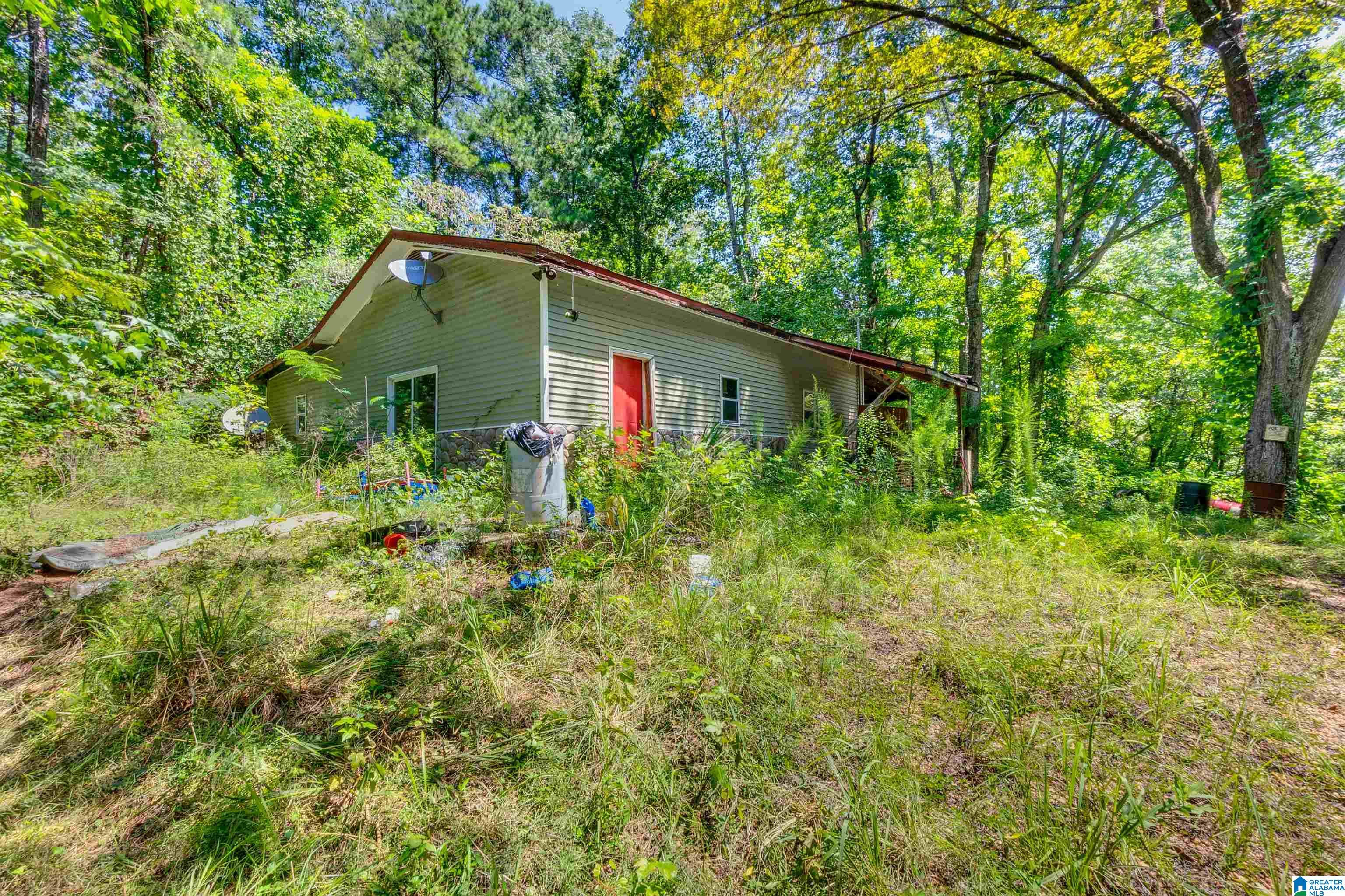 2011 County Road 256 Property Photo 22