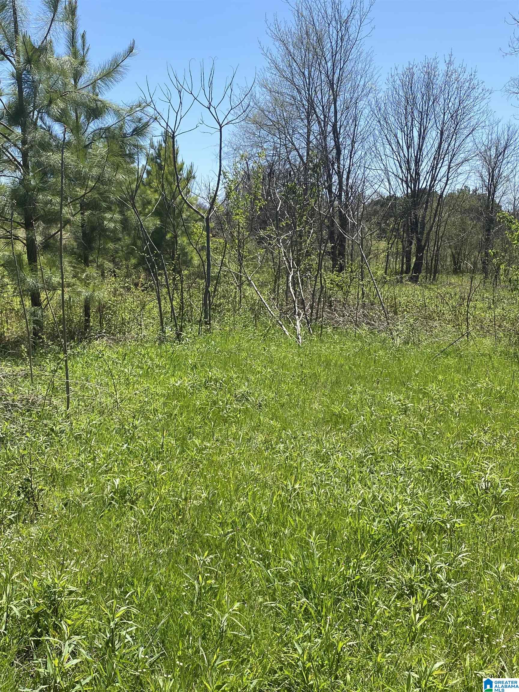 369 Landess Circle Property Photo 1