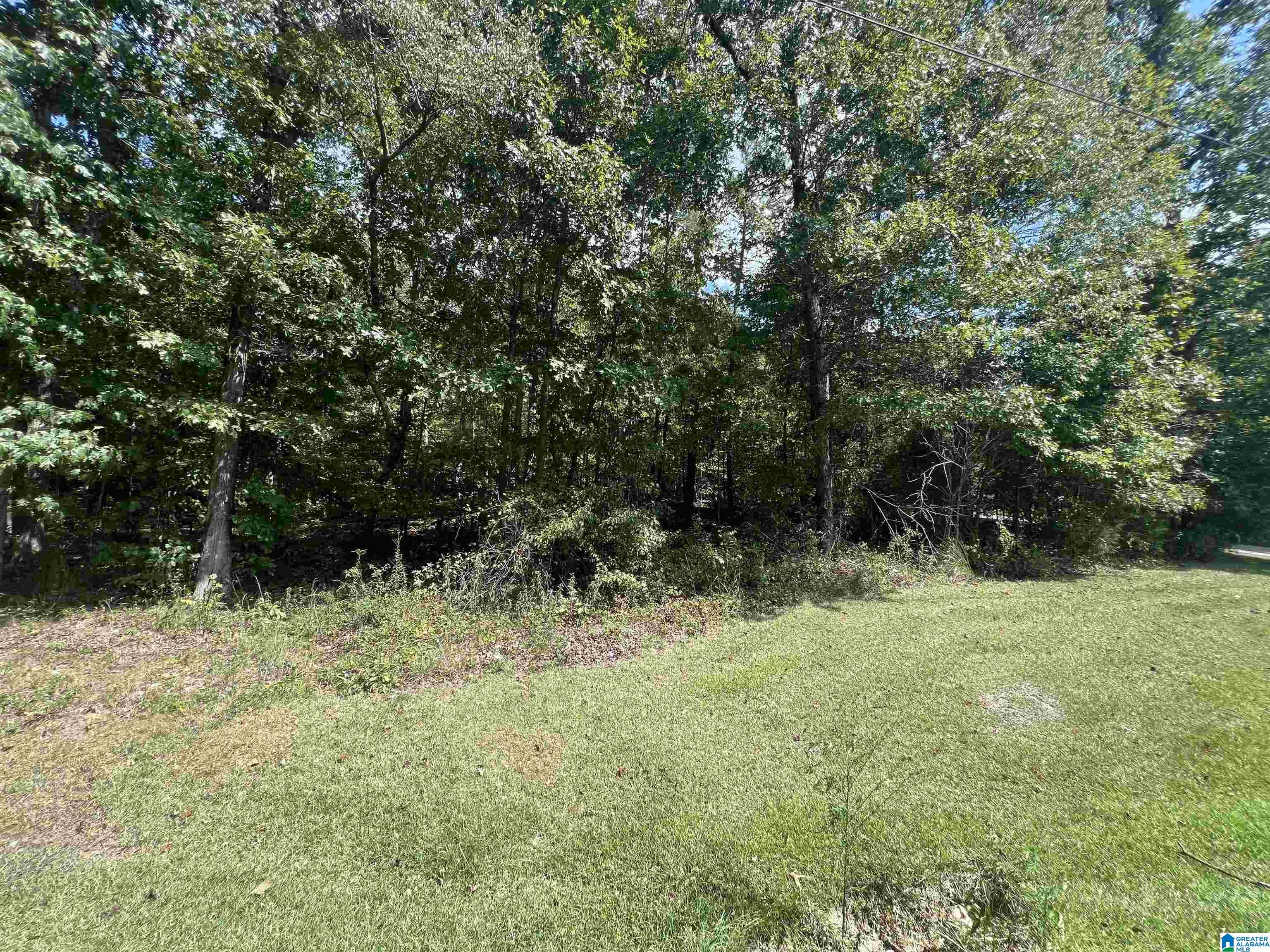 0 Taylor Road Property Photo 9