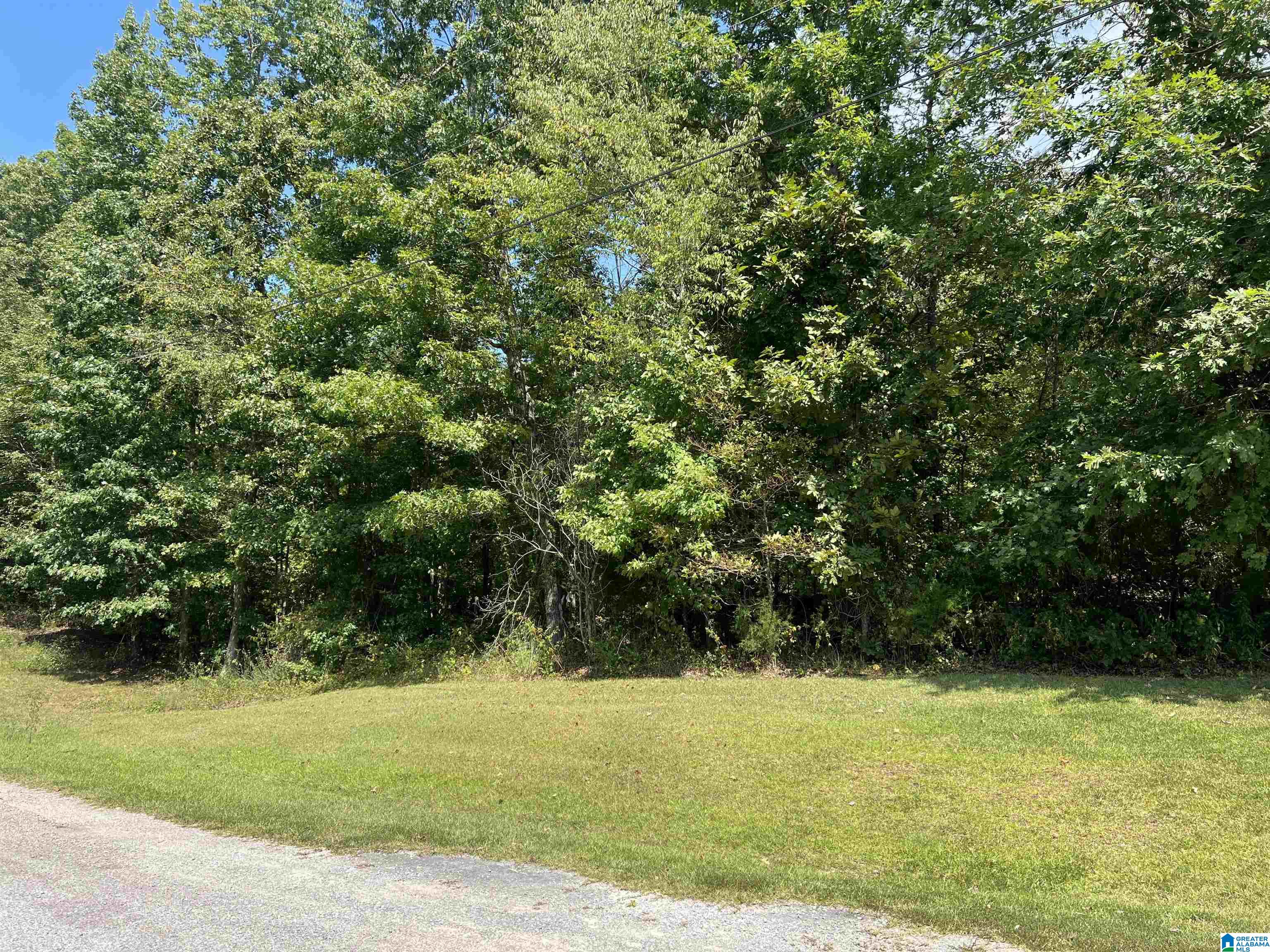 0 Taylor Road Property Photo 10