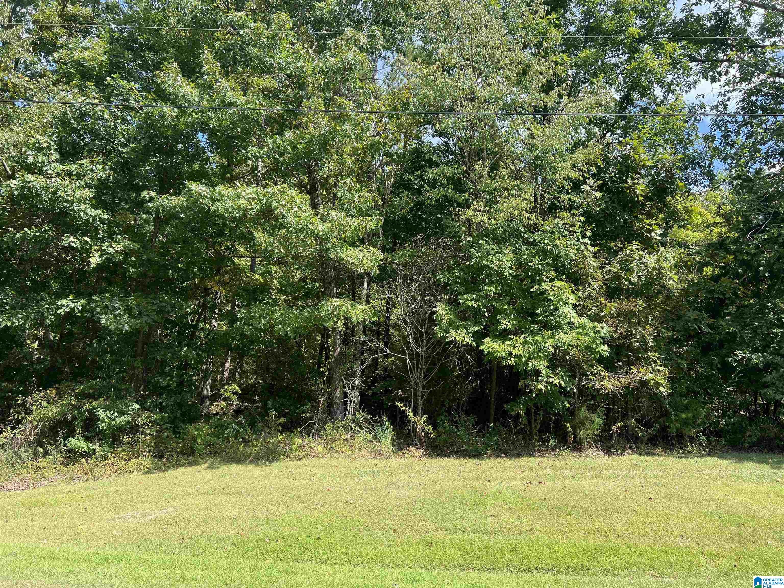 0 Taylor Road Property Photo 12