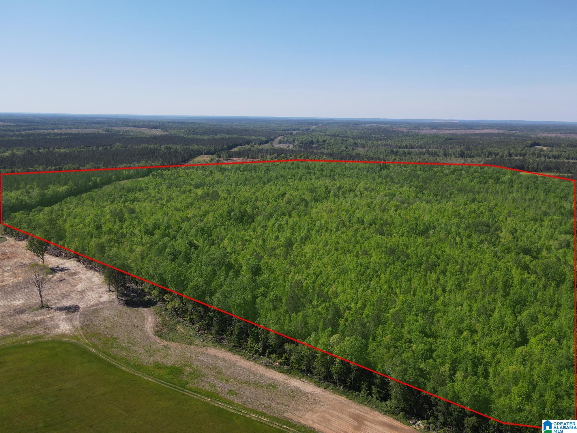 160 Acres County Road 73 Property Photo