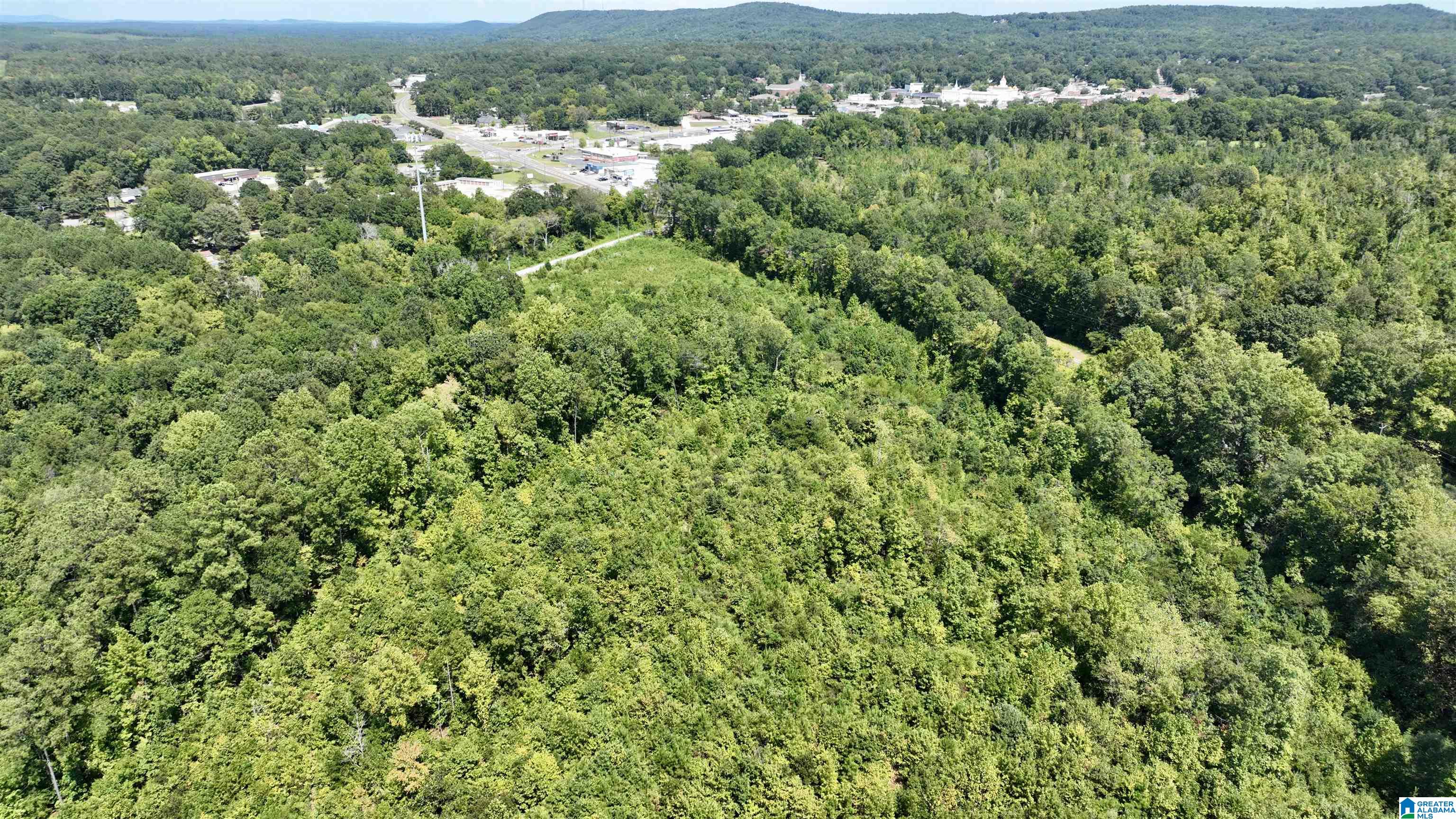35.4 Acres Highway 25 Property Photo