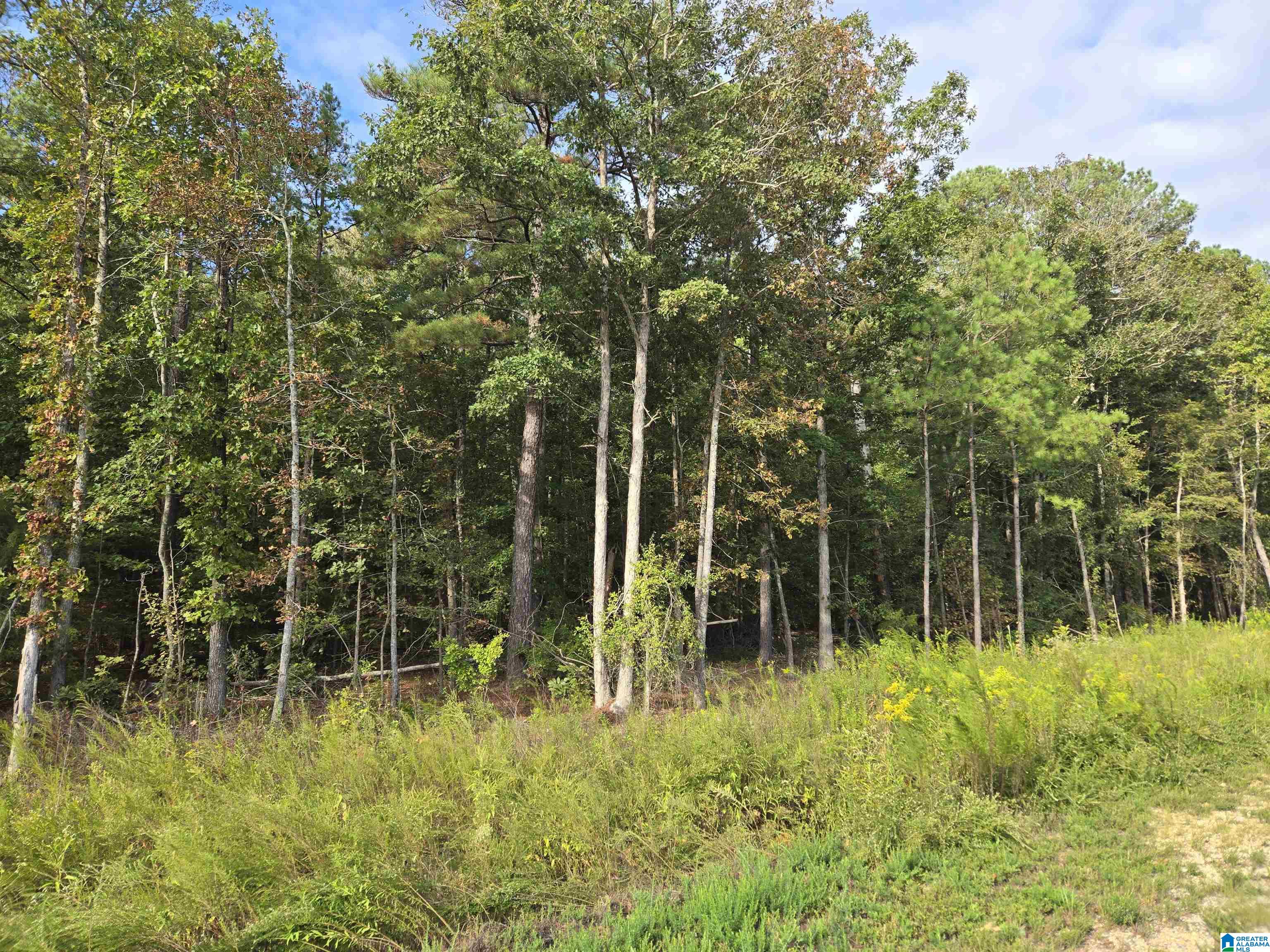 Industrial Park Road Property Photo 3