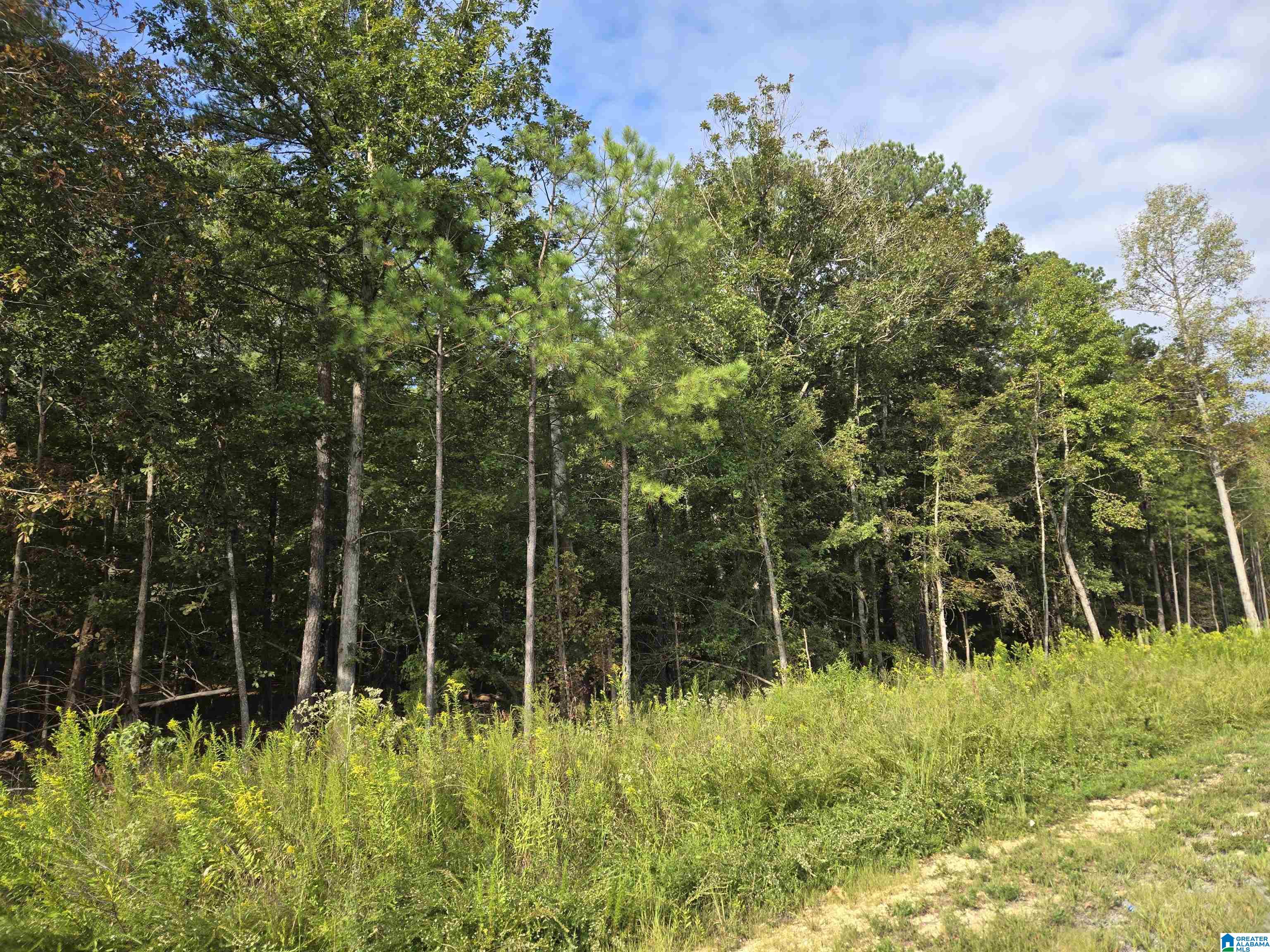 Industrial Park Road Property Photo 5