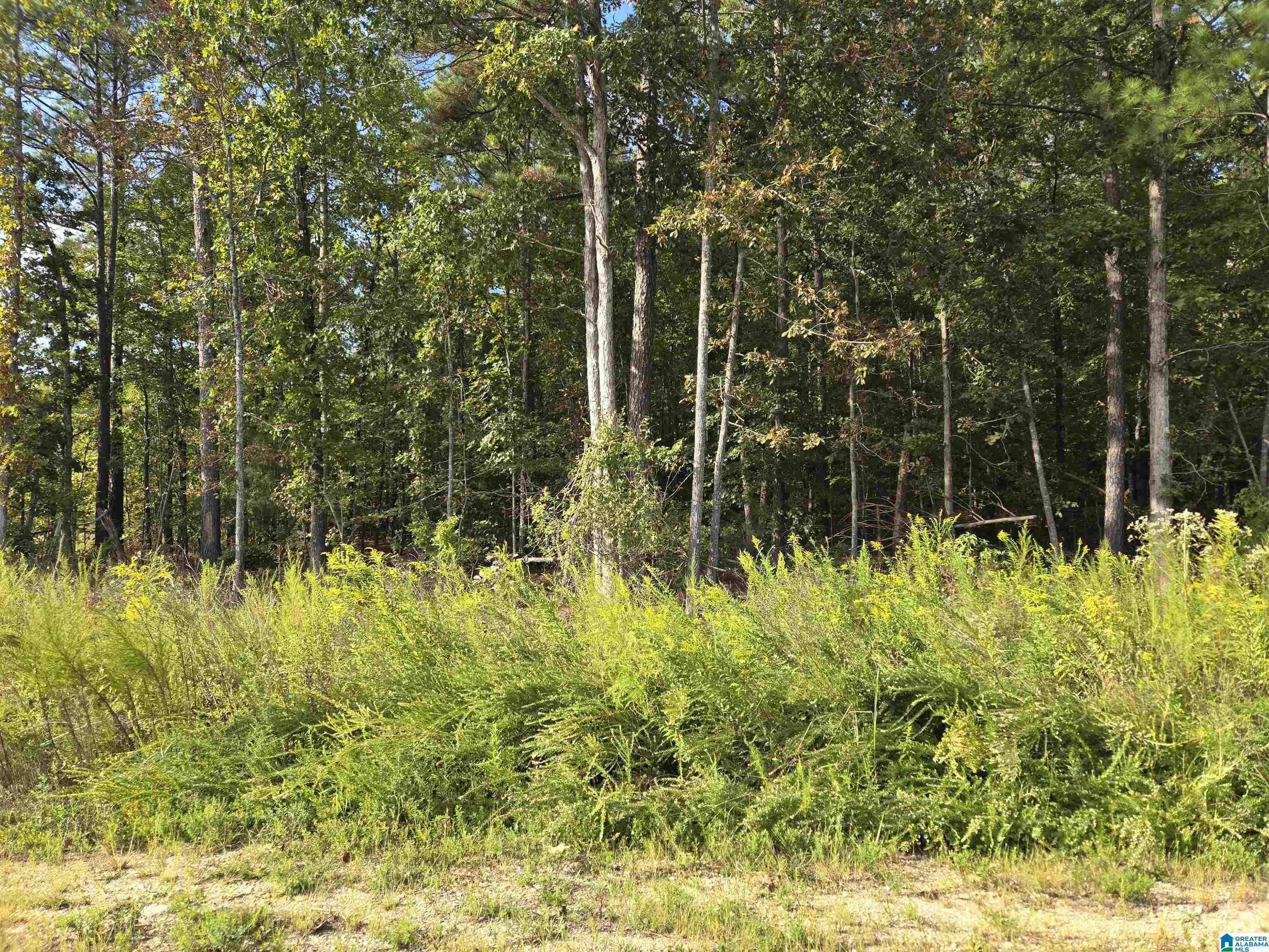 Industrial Park Road Property Photo 6