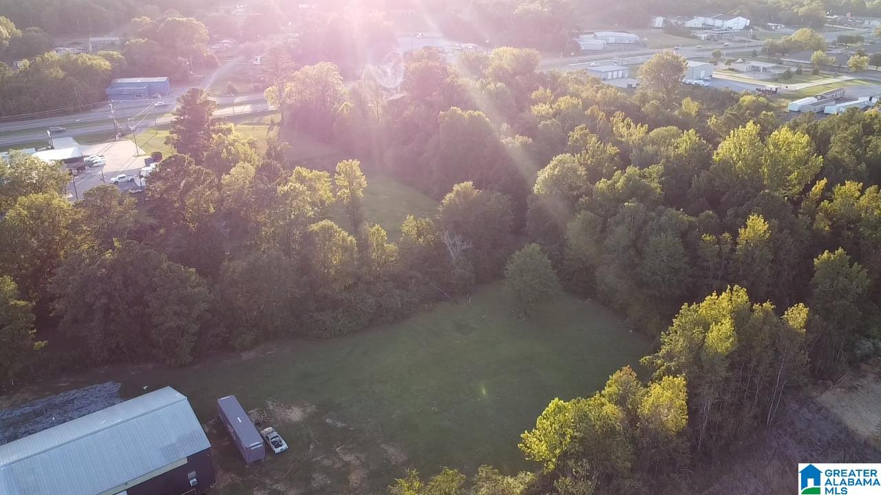 119 Lower Bon Air Road Property Photo 7