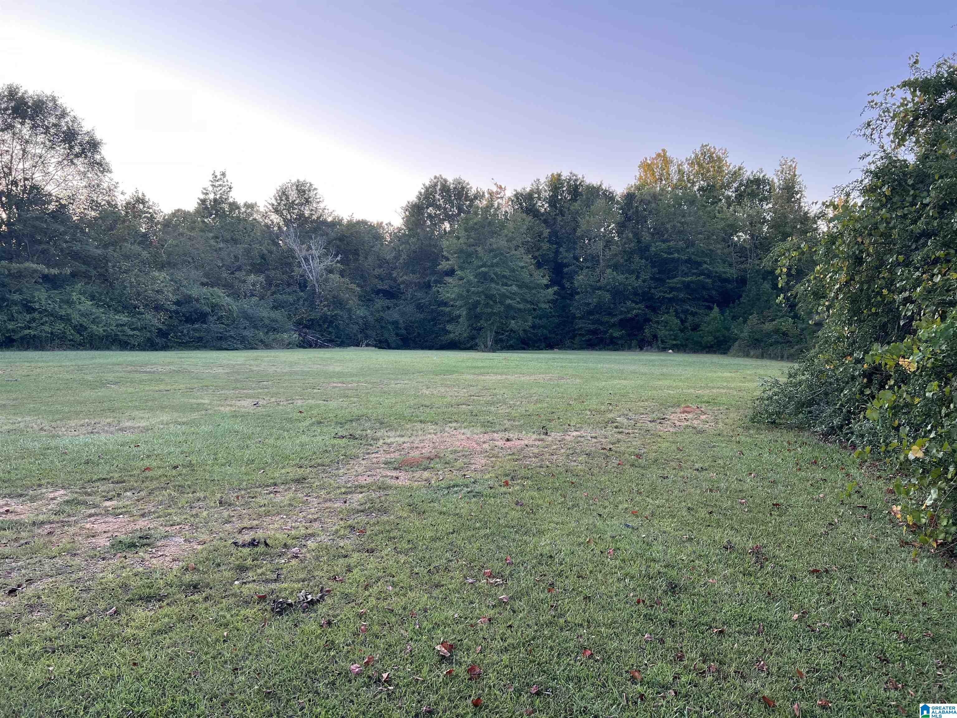 119 Lower Bon Air Road Property Photo 19