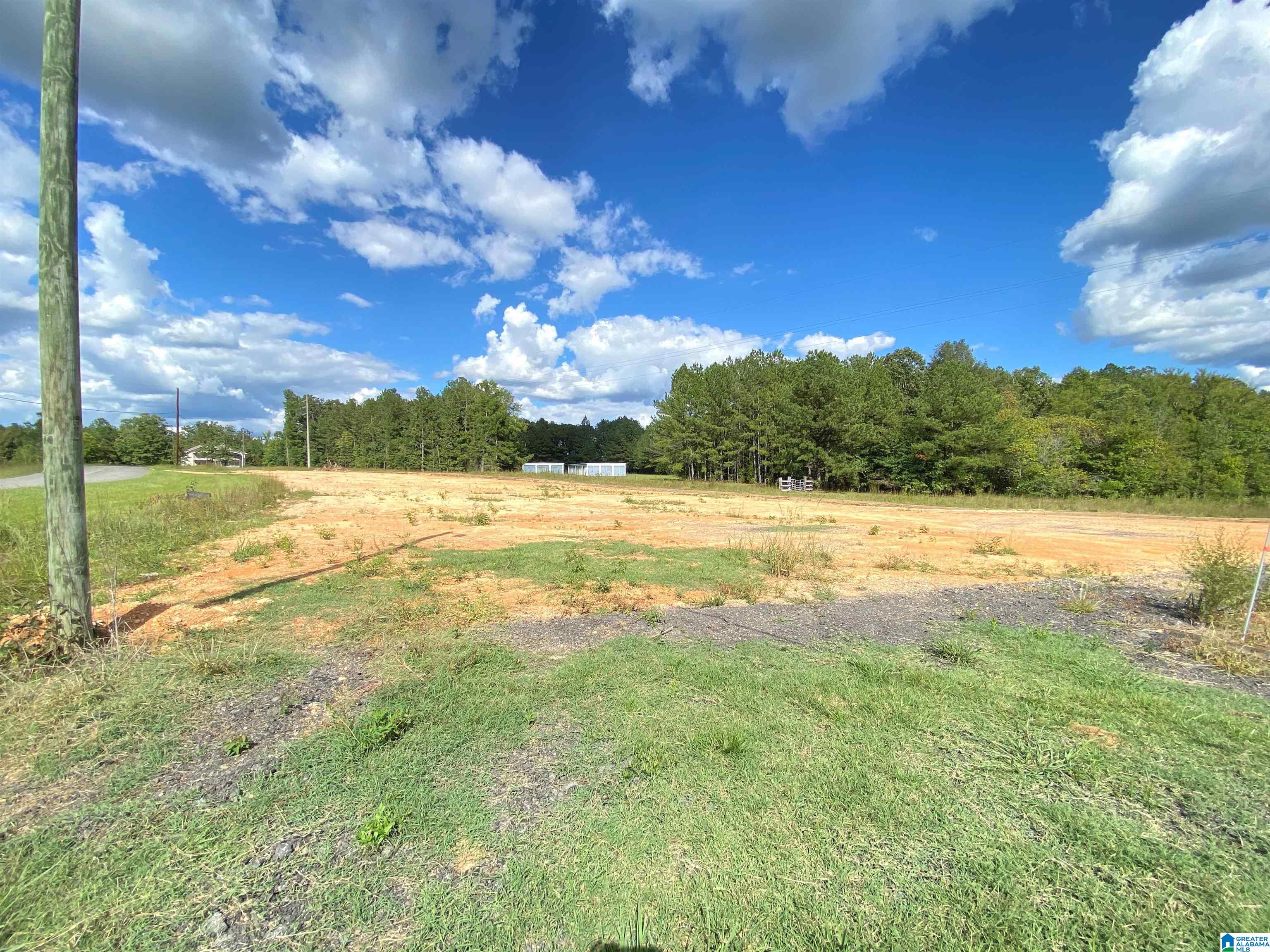 100 Fant Drive Property Photo 15