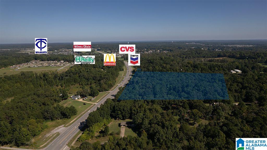 9501 Us Highway 43 Property Photo 1
