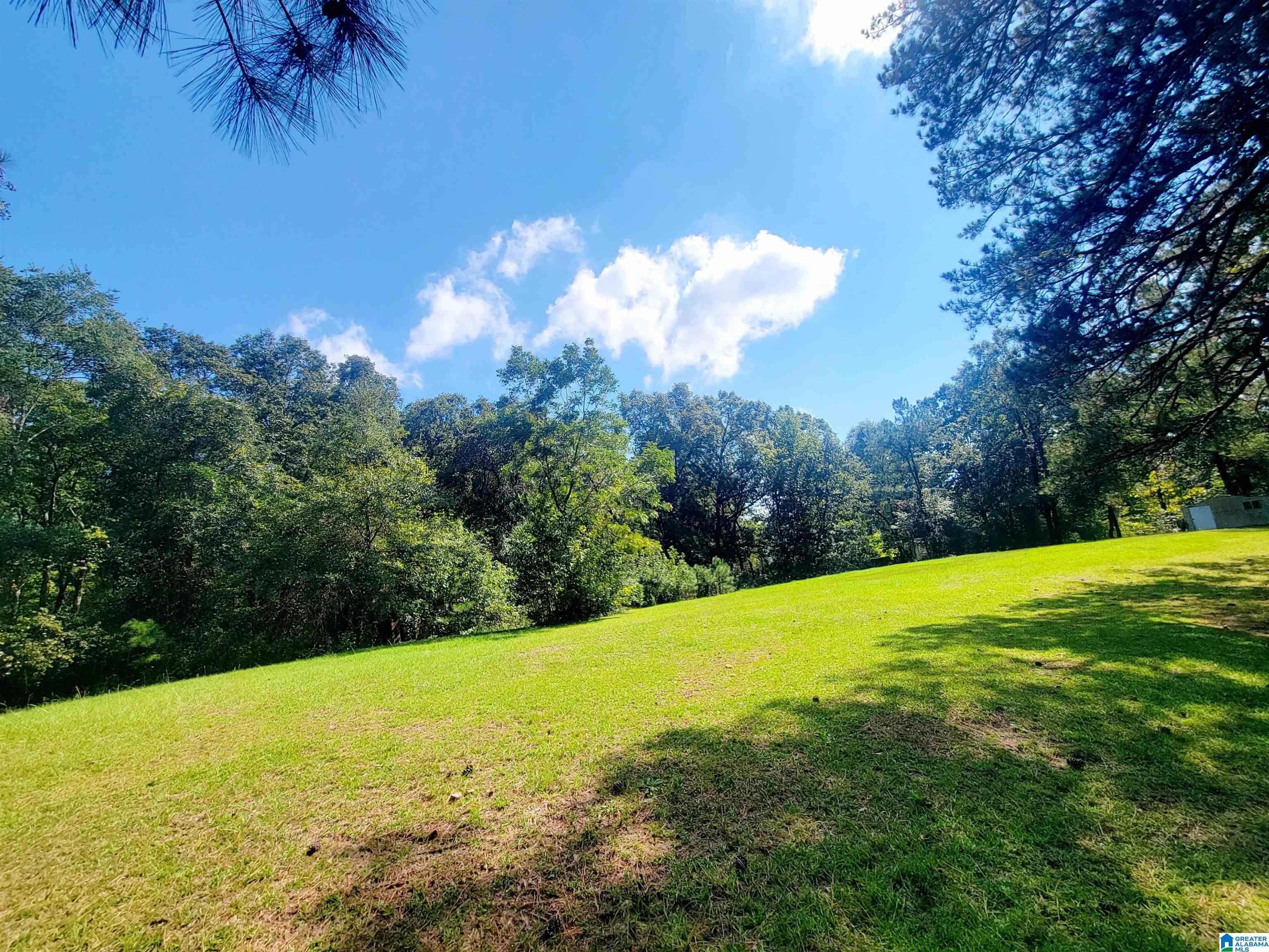 9501 Us Highway 43 Property Photo 6
