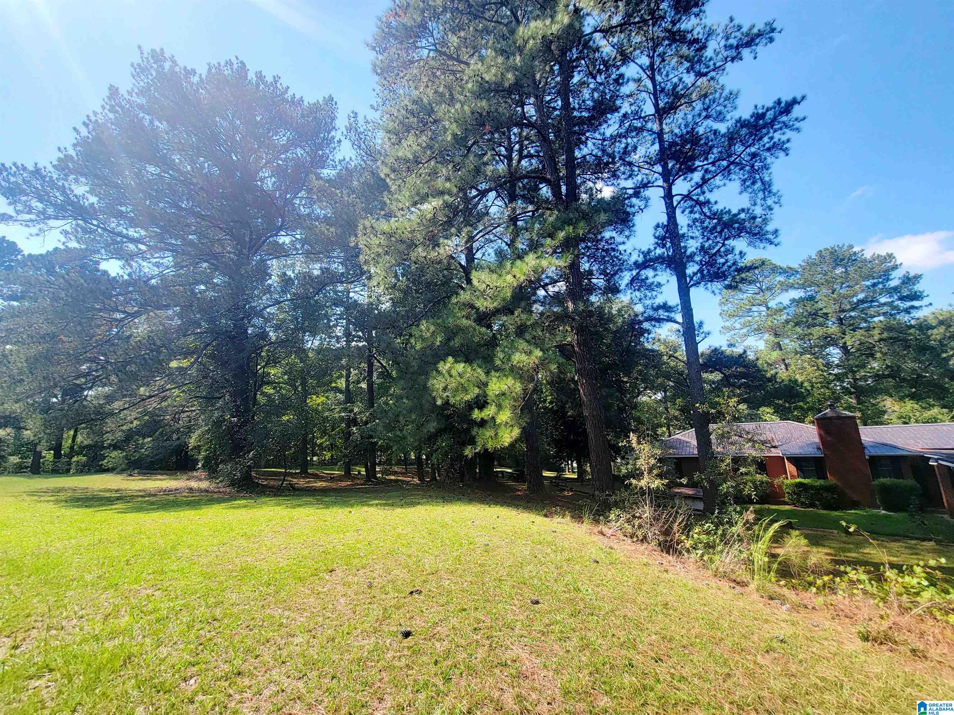 9501 Us Highway 43 Property Photo 7