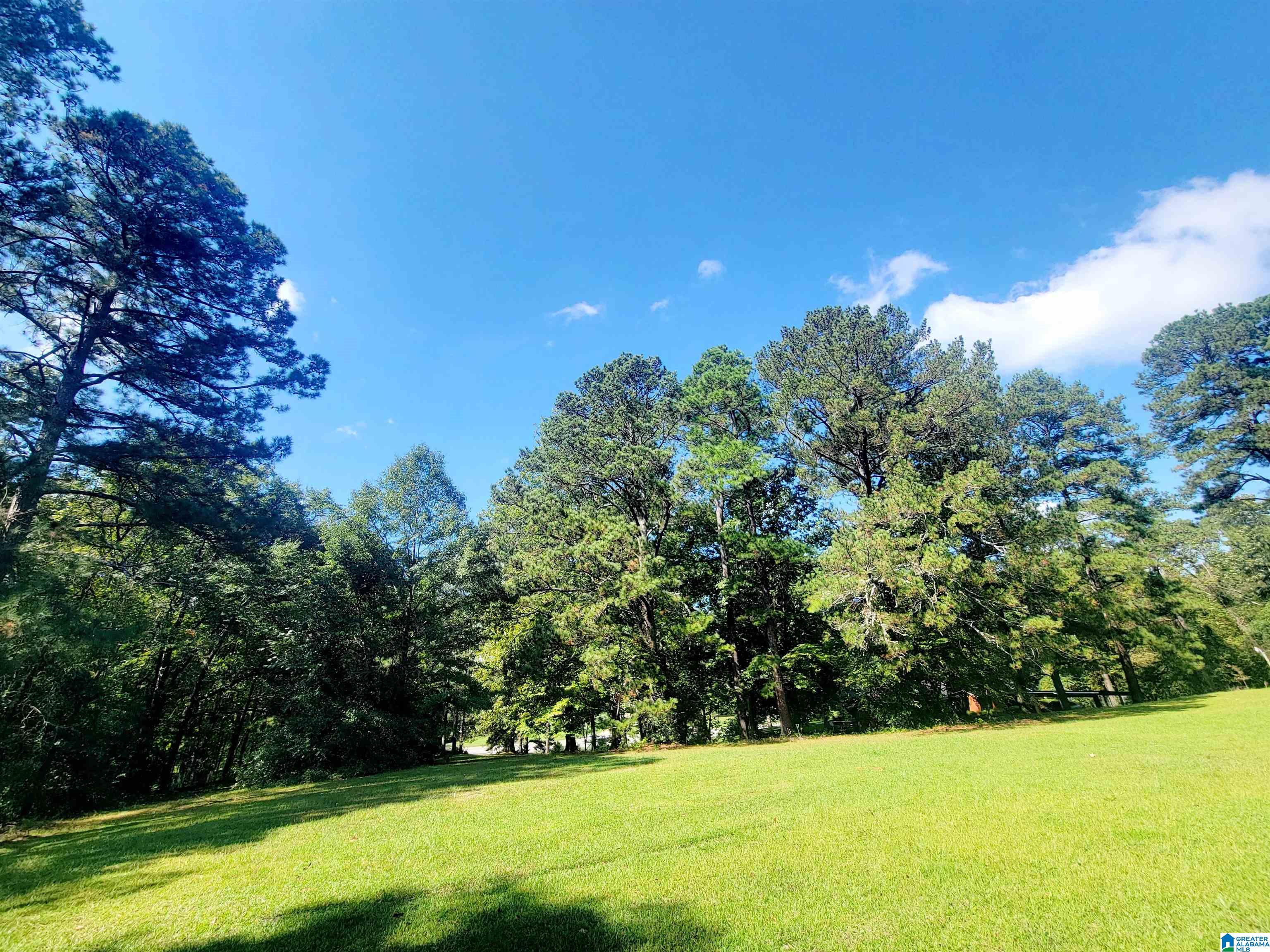 9501 Us Highway 43 Property Photo 8