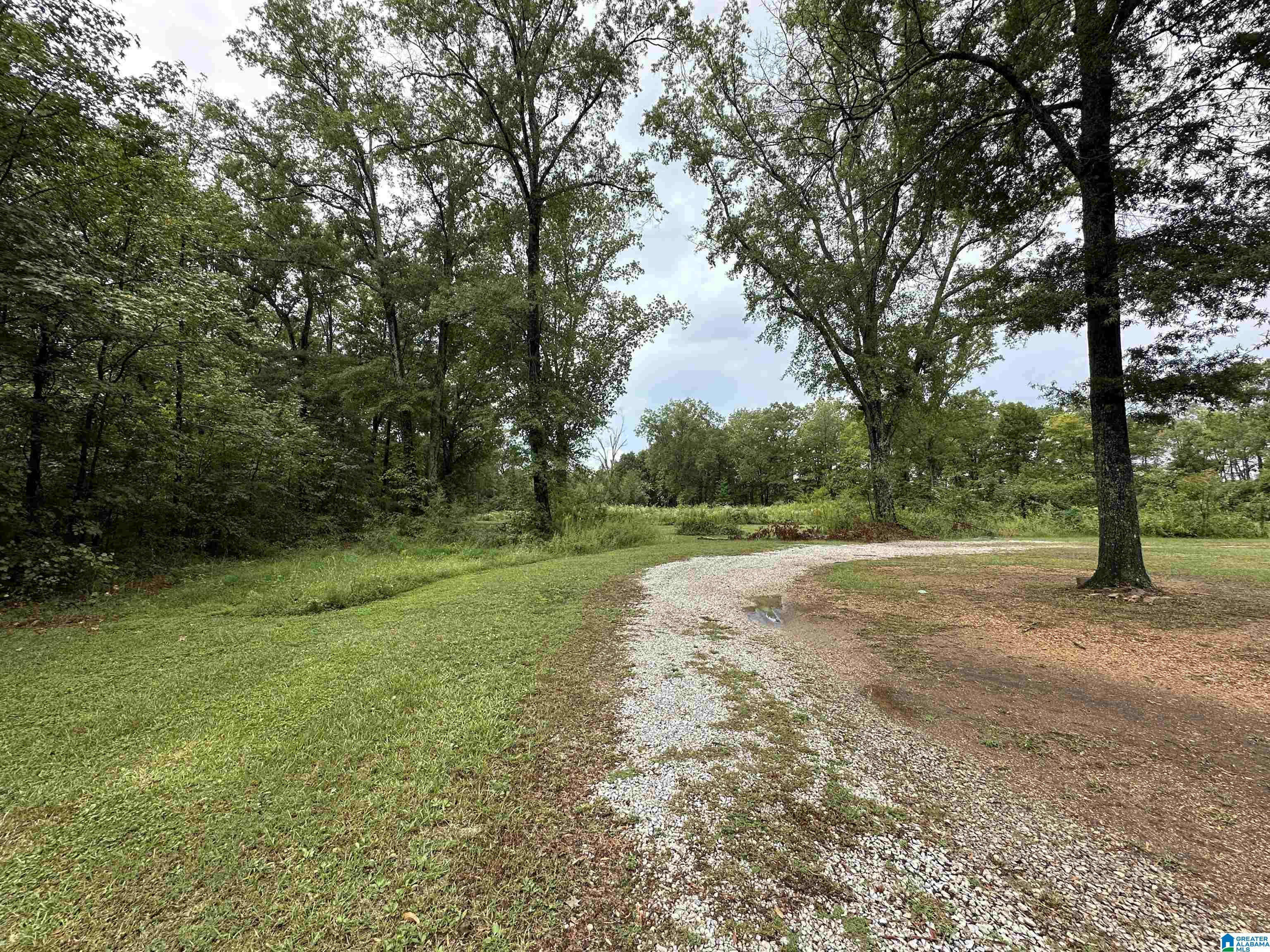 170 Mccalla Road Property Photo 3