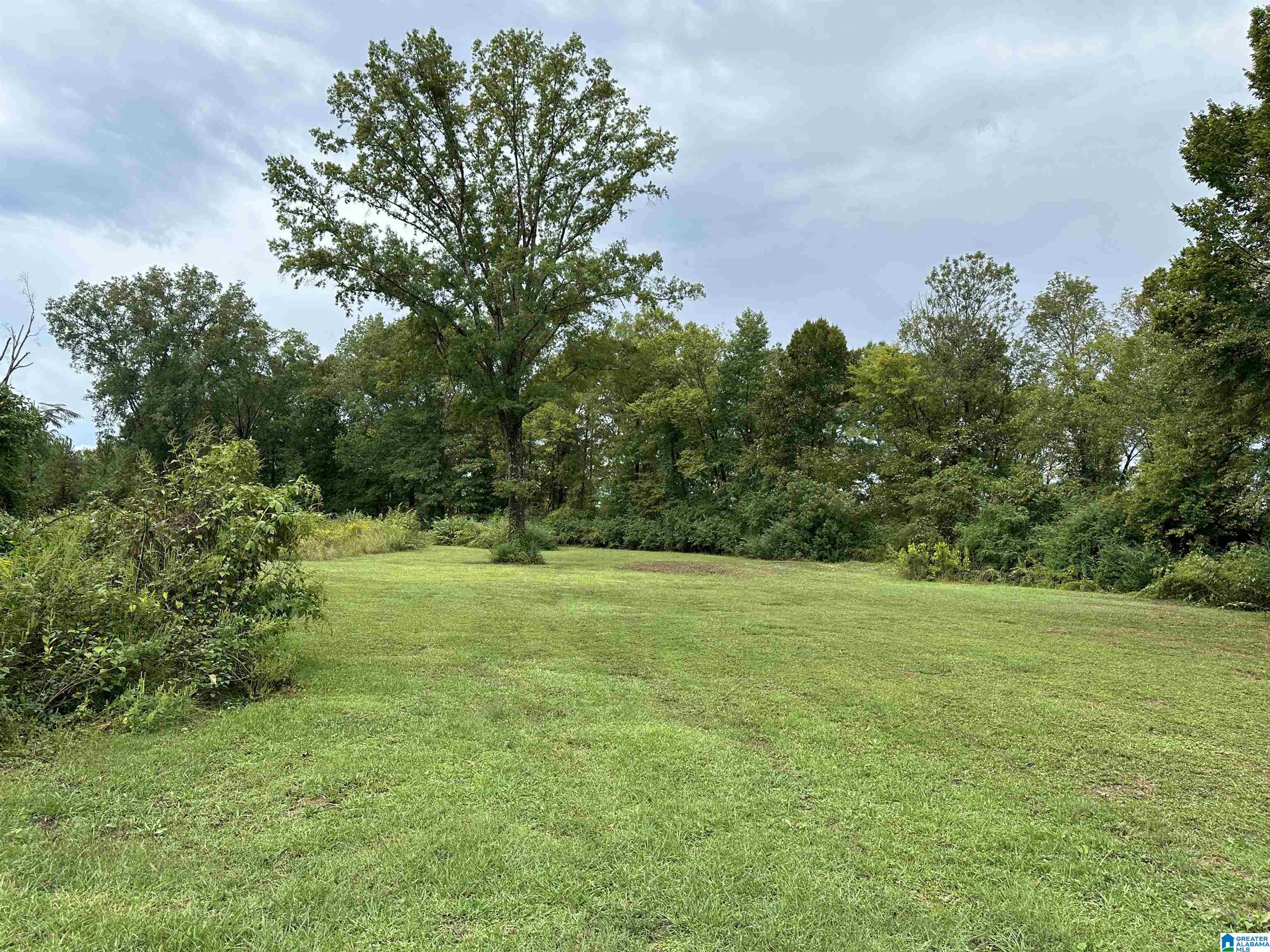 170 Mccalla Road Property Photo 4