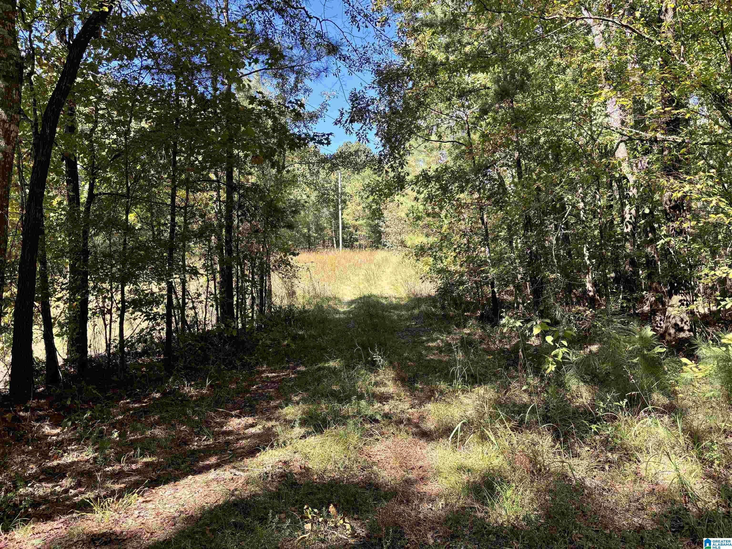 1129 Highway 467 Property Photo