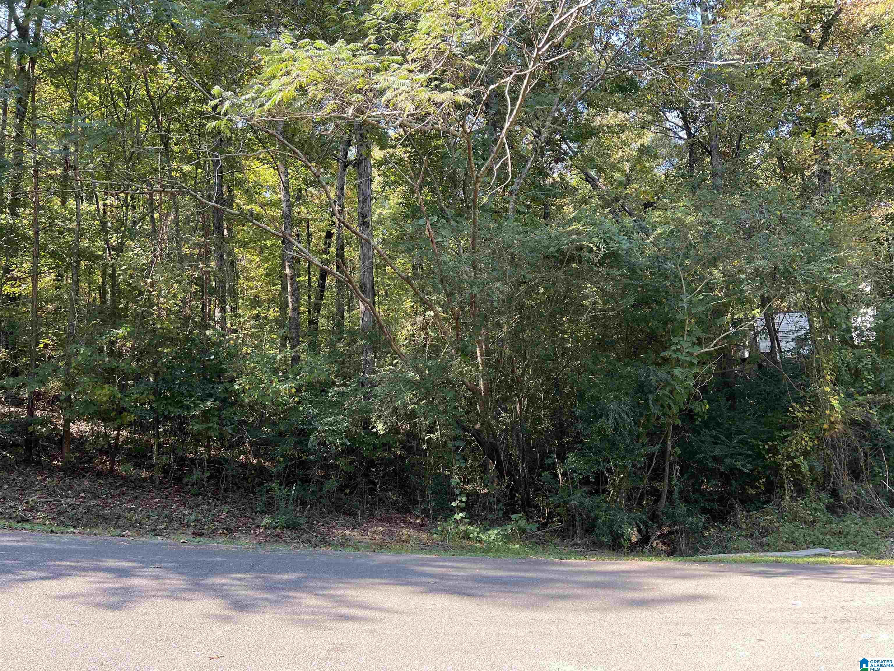 726 Brookview Drive Property Photo
