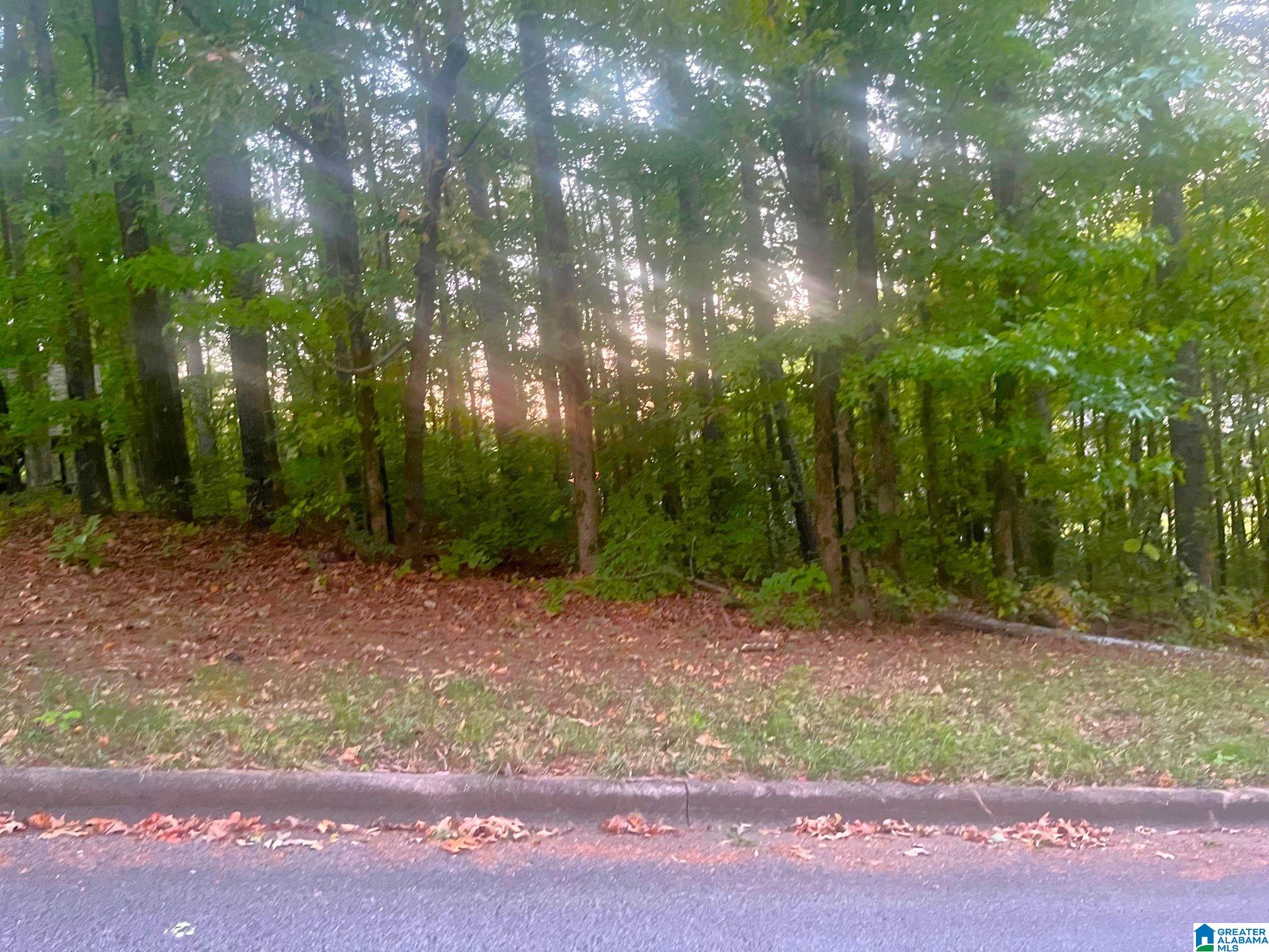 6760 Old Springville Road Property Photo