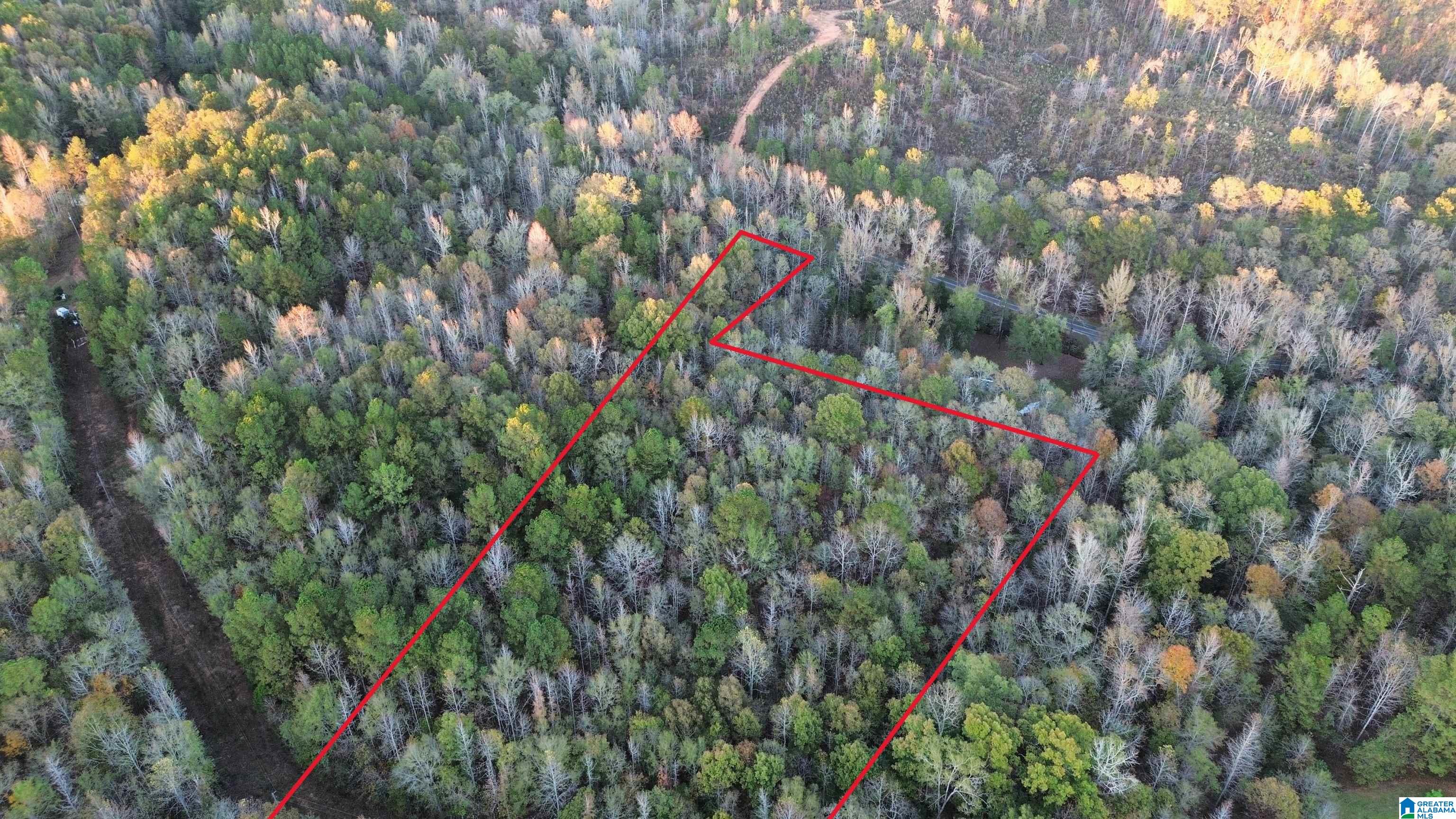 0 Coosa County Road 66 Property Photo 1