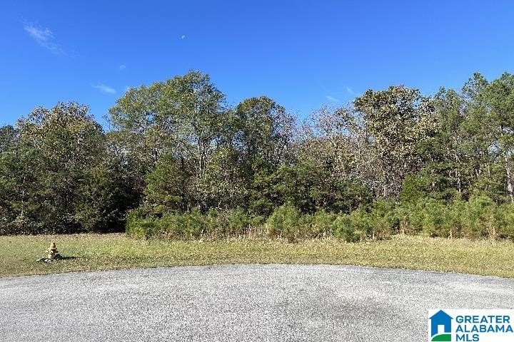 0 Eastland Hills Drive Property Photo 1