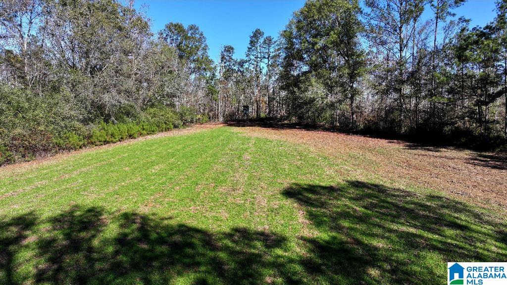 200 Kelly Creek Road Property Photo