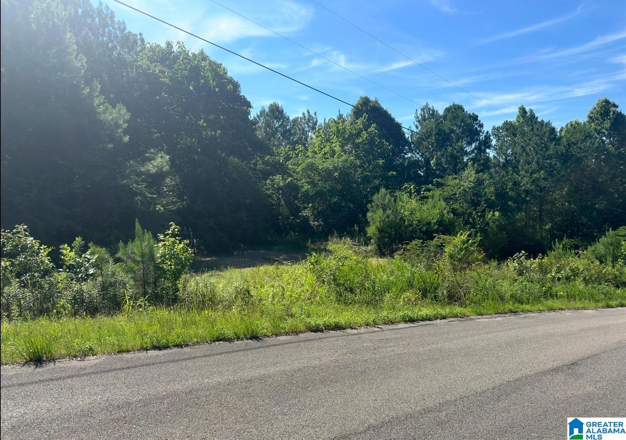 0 Choctaw Trail Property Photo