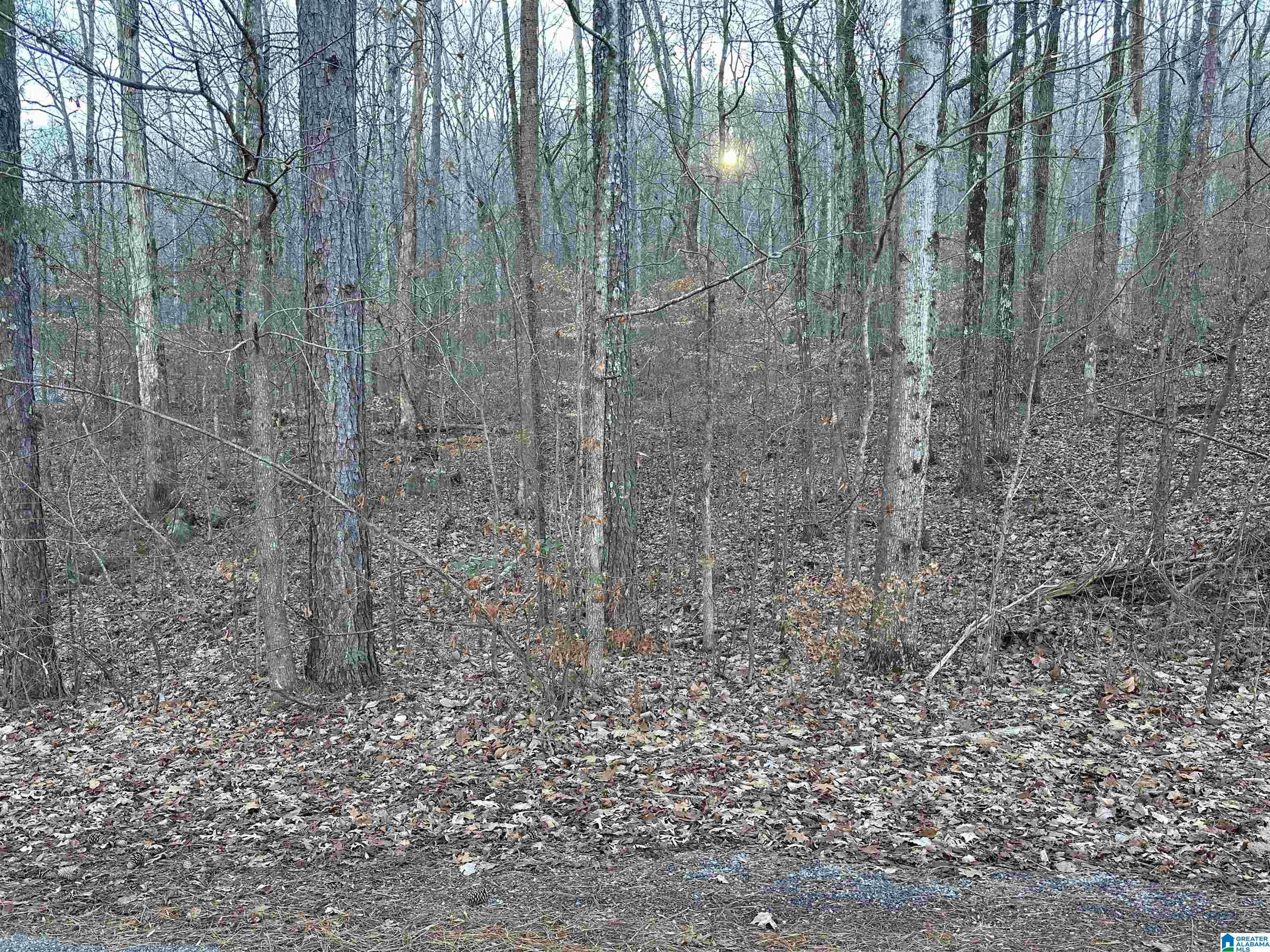 0 Valley Lane Property Photo