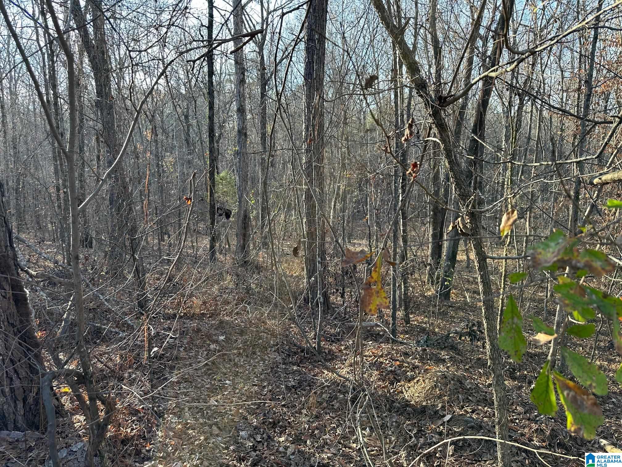 0 Broken Arrow Creek Road Property Photo 1