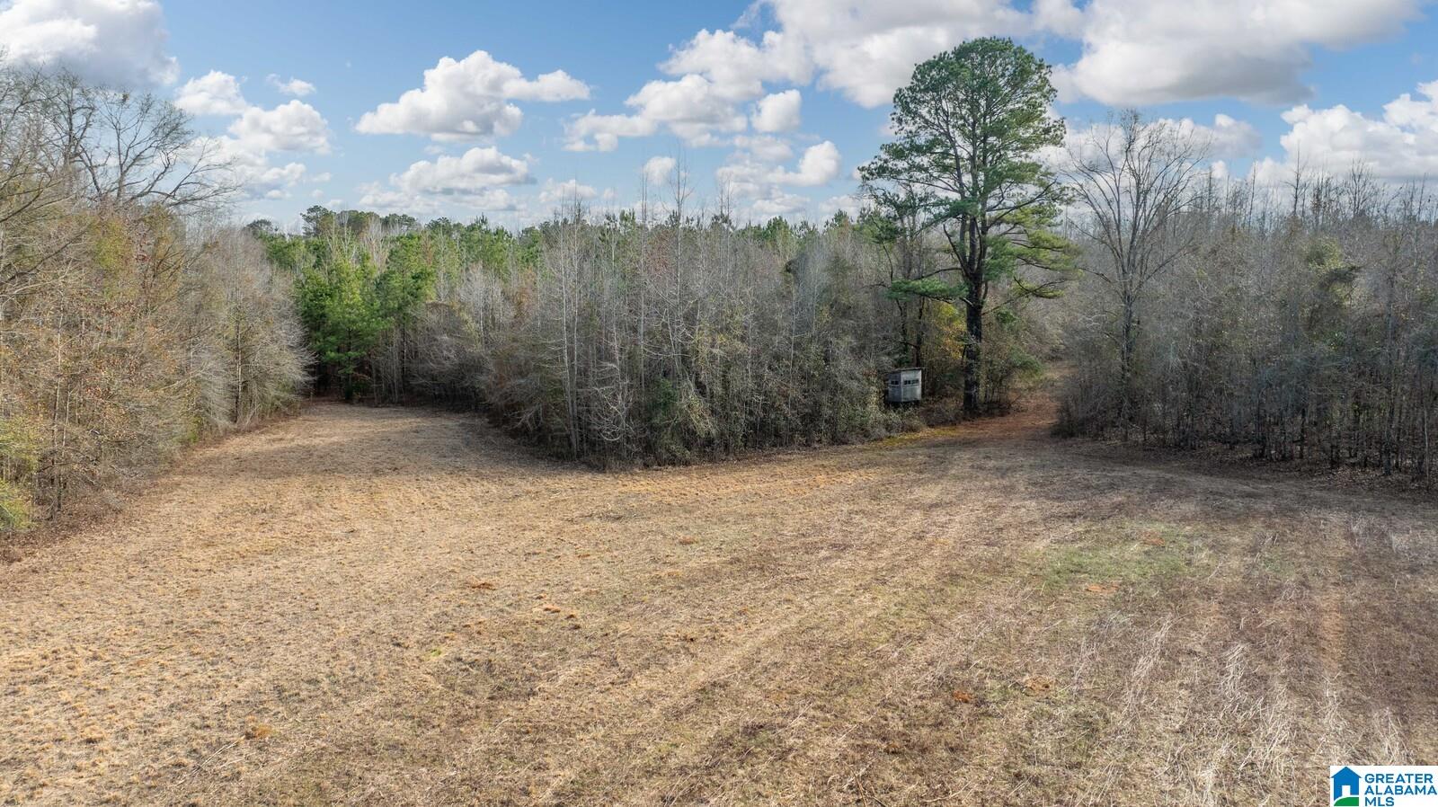 00 Brush Creek Drive Property Photo 1