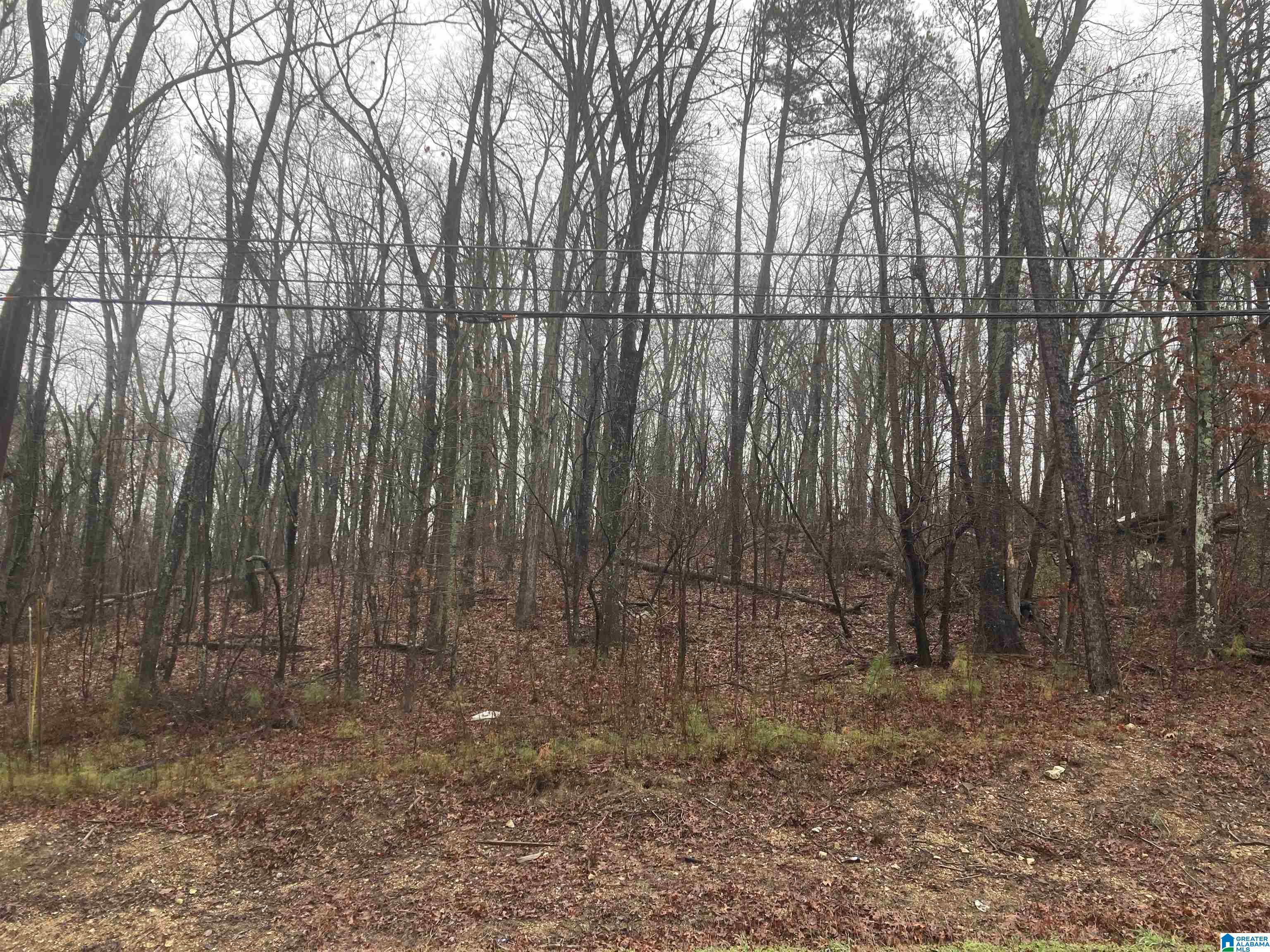 6270 Tyler Loop Road Property Photo