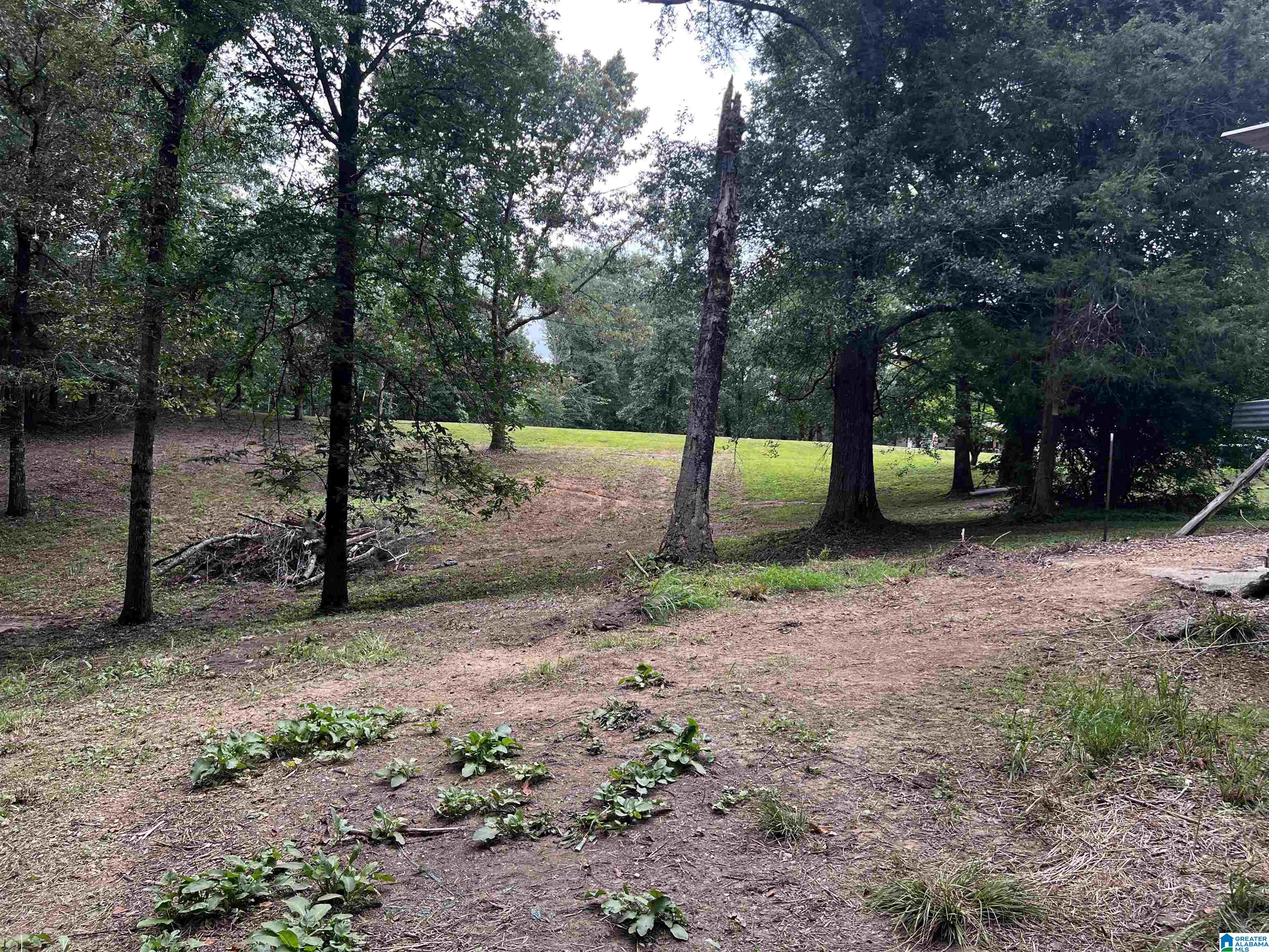 1959 Blue Sky Road Property Photo