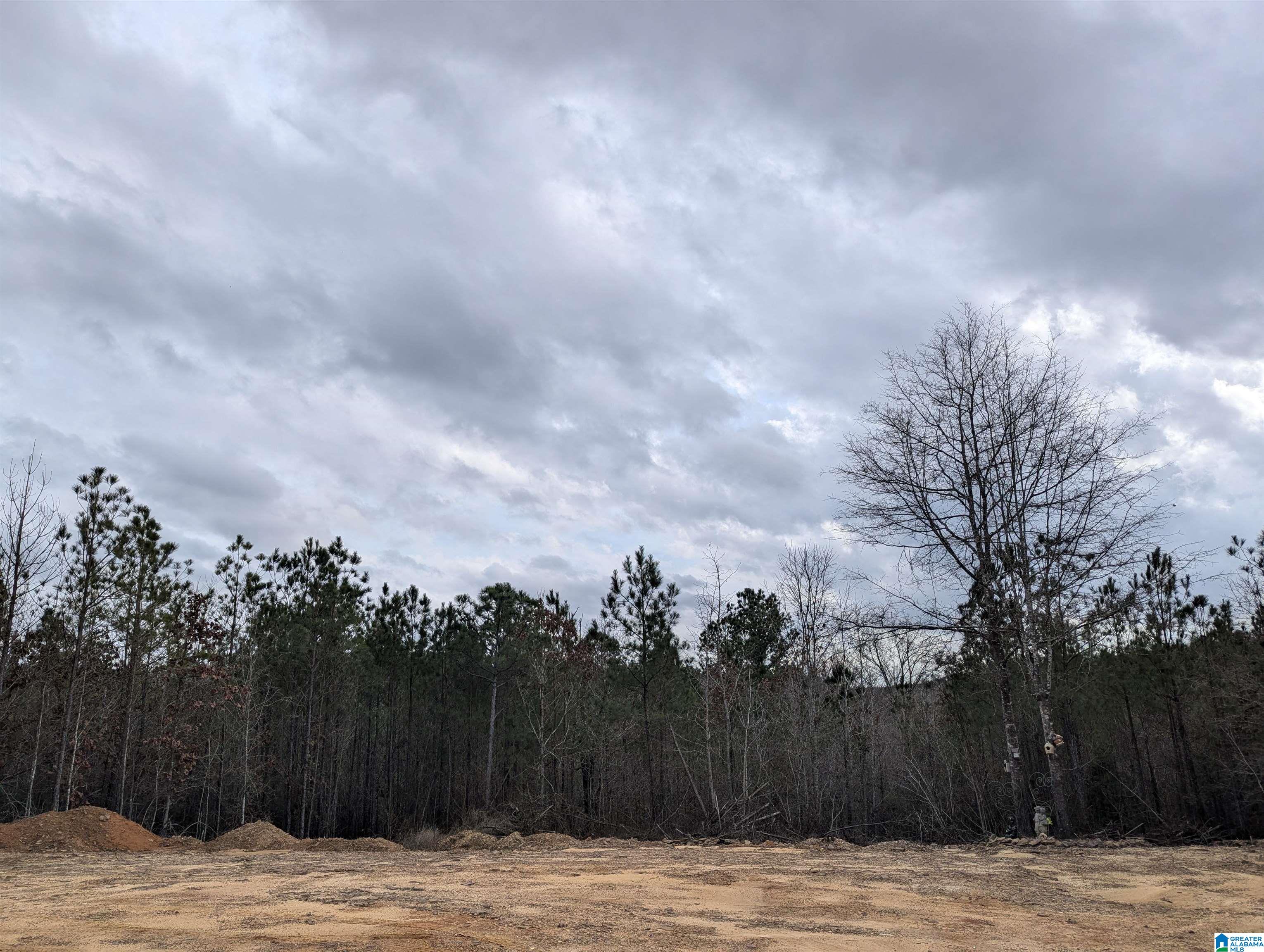 245 Highway 183 Property Photo 1