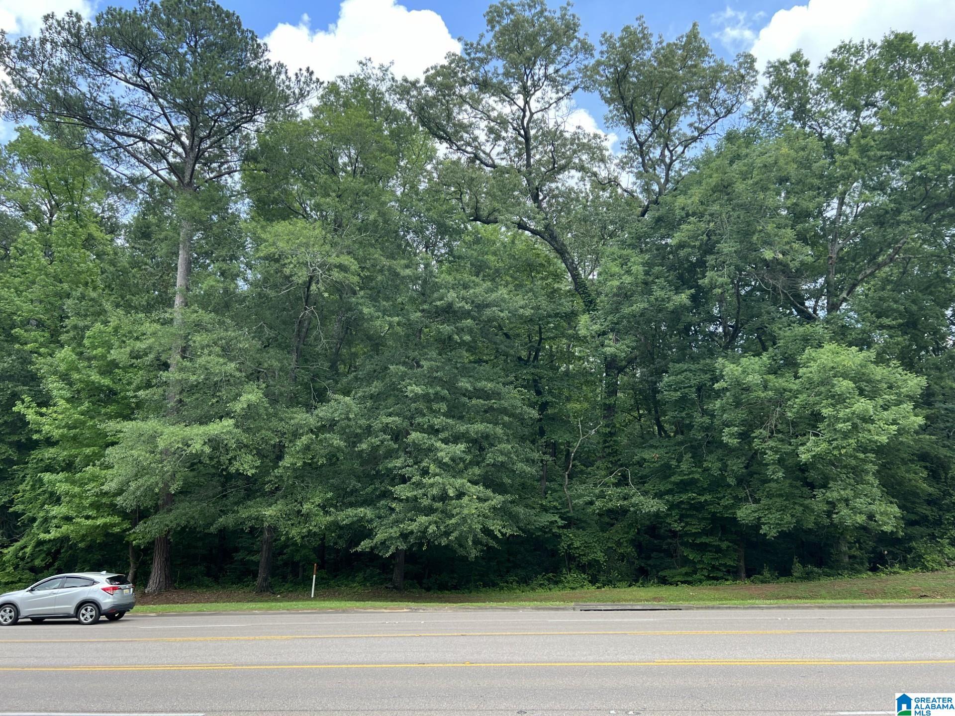 849 GADSDEN HIGHWAY Property Photo 1