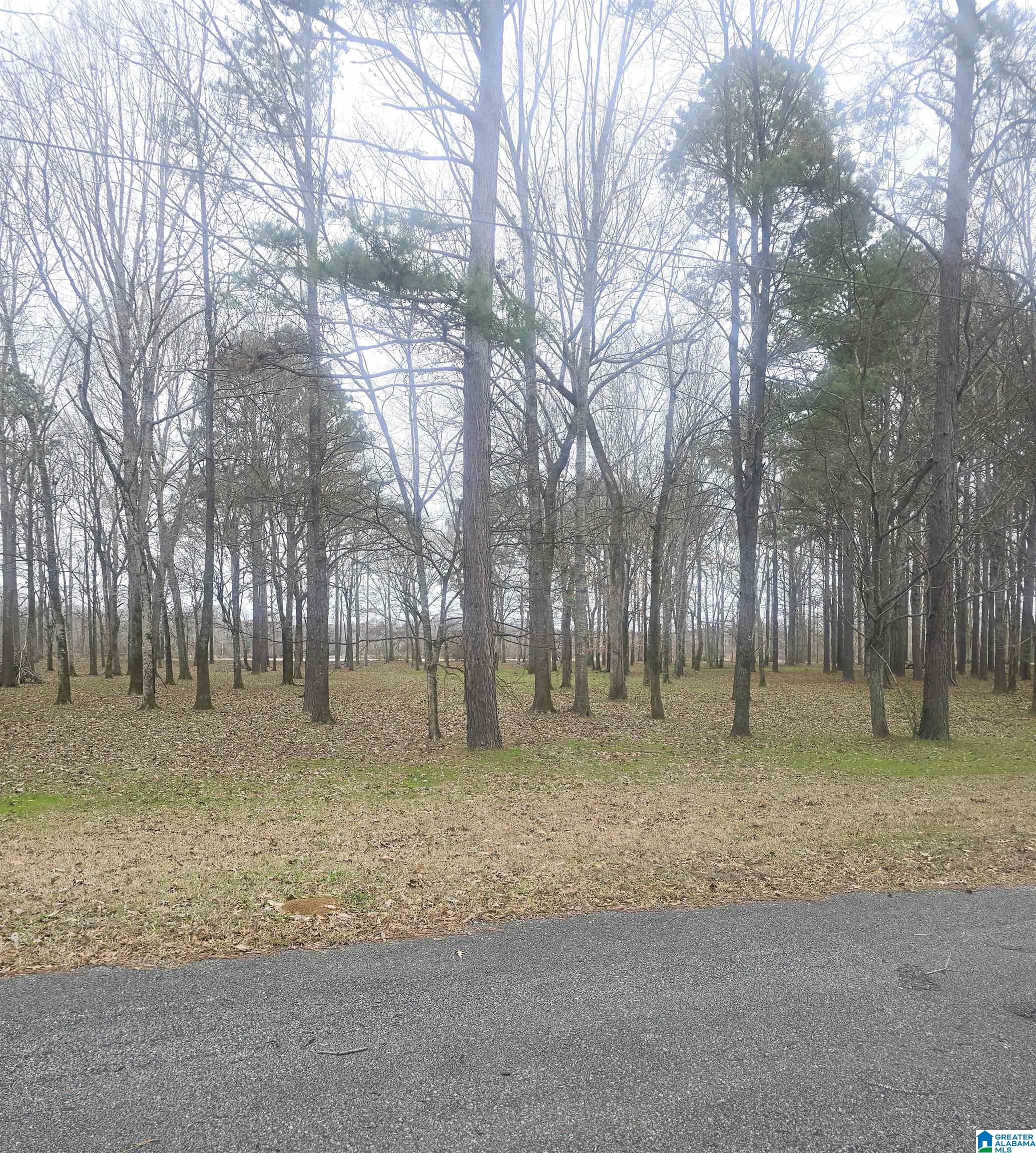 Cypress Point Drive Property Photo 1