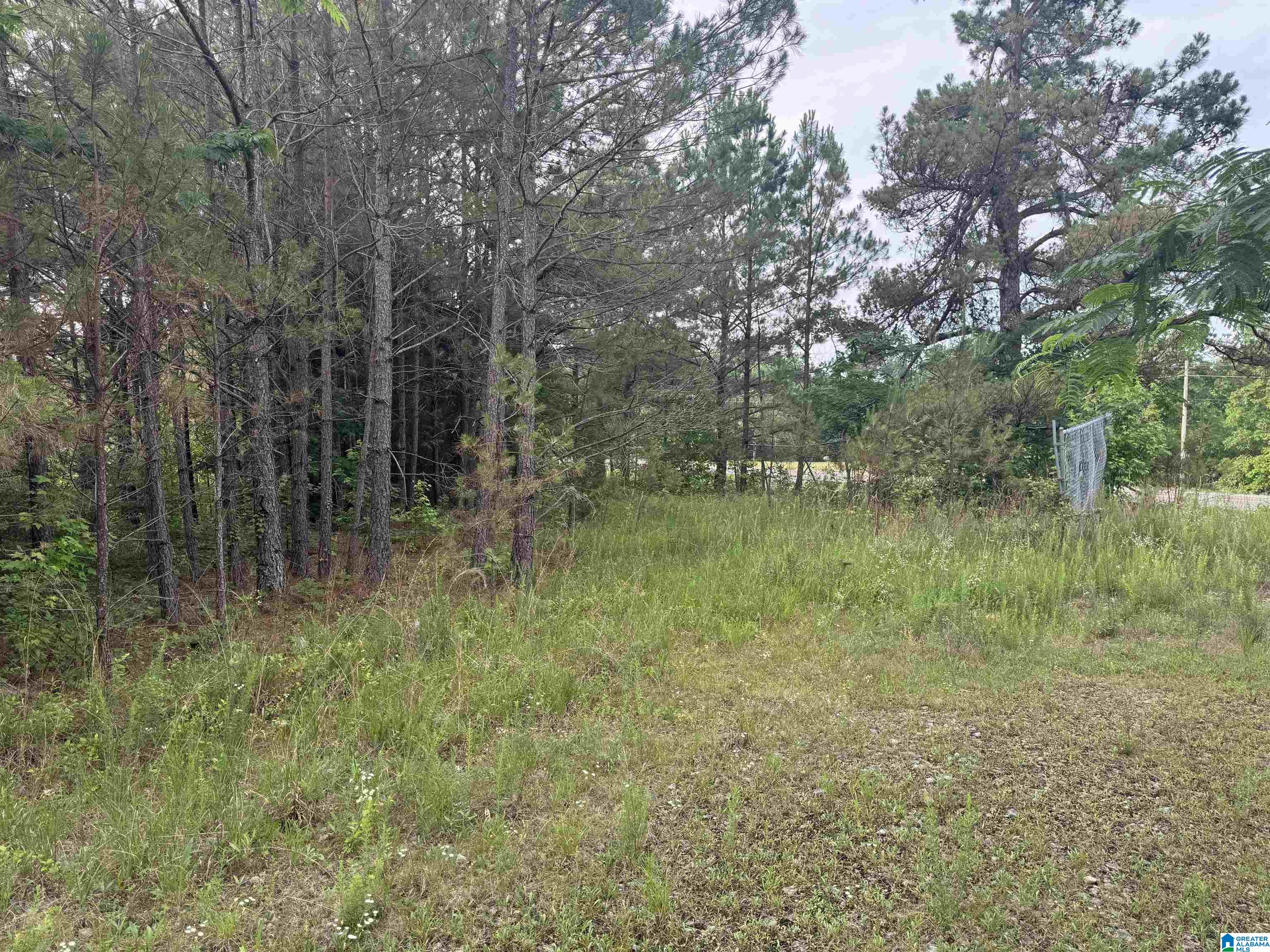 0 Us Highway 43 Property Photo 1