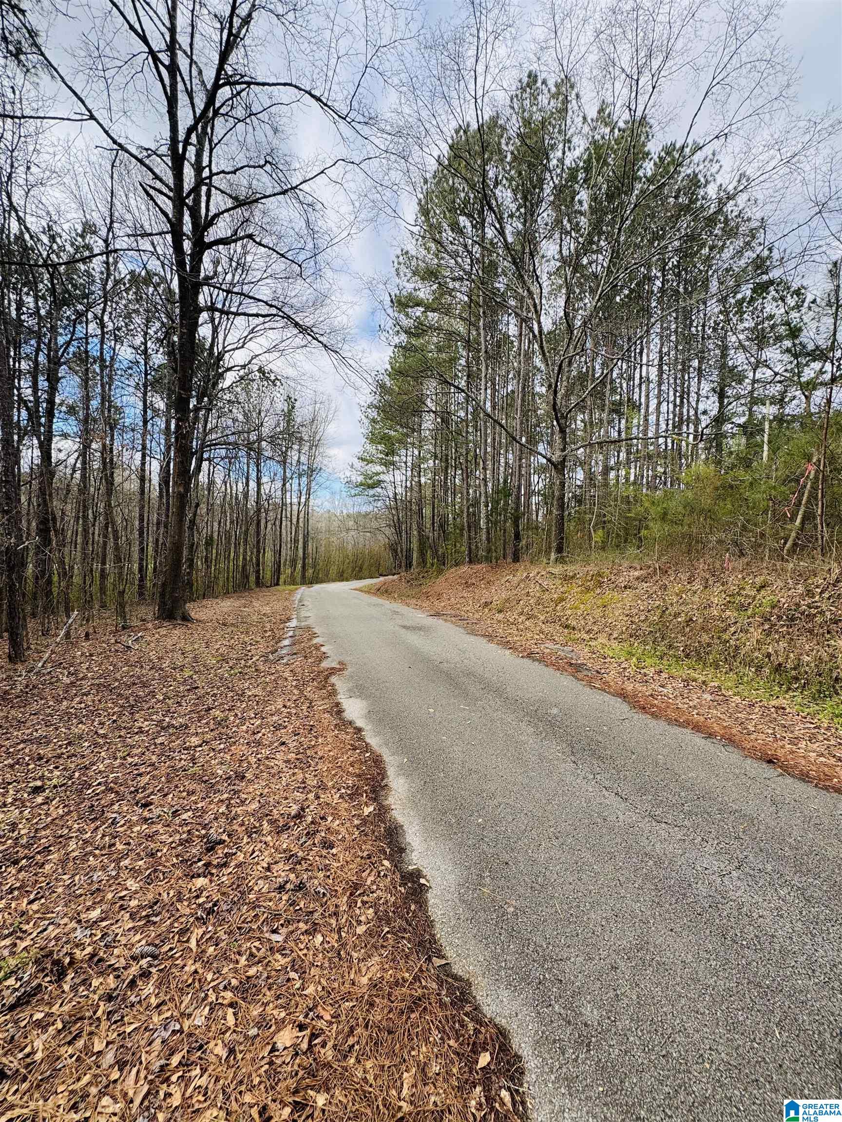 10 Mountain Crest Road Property Photo