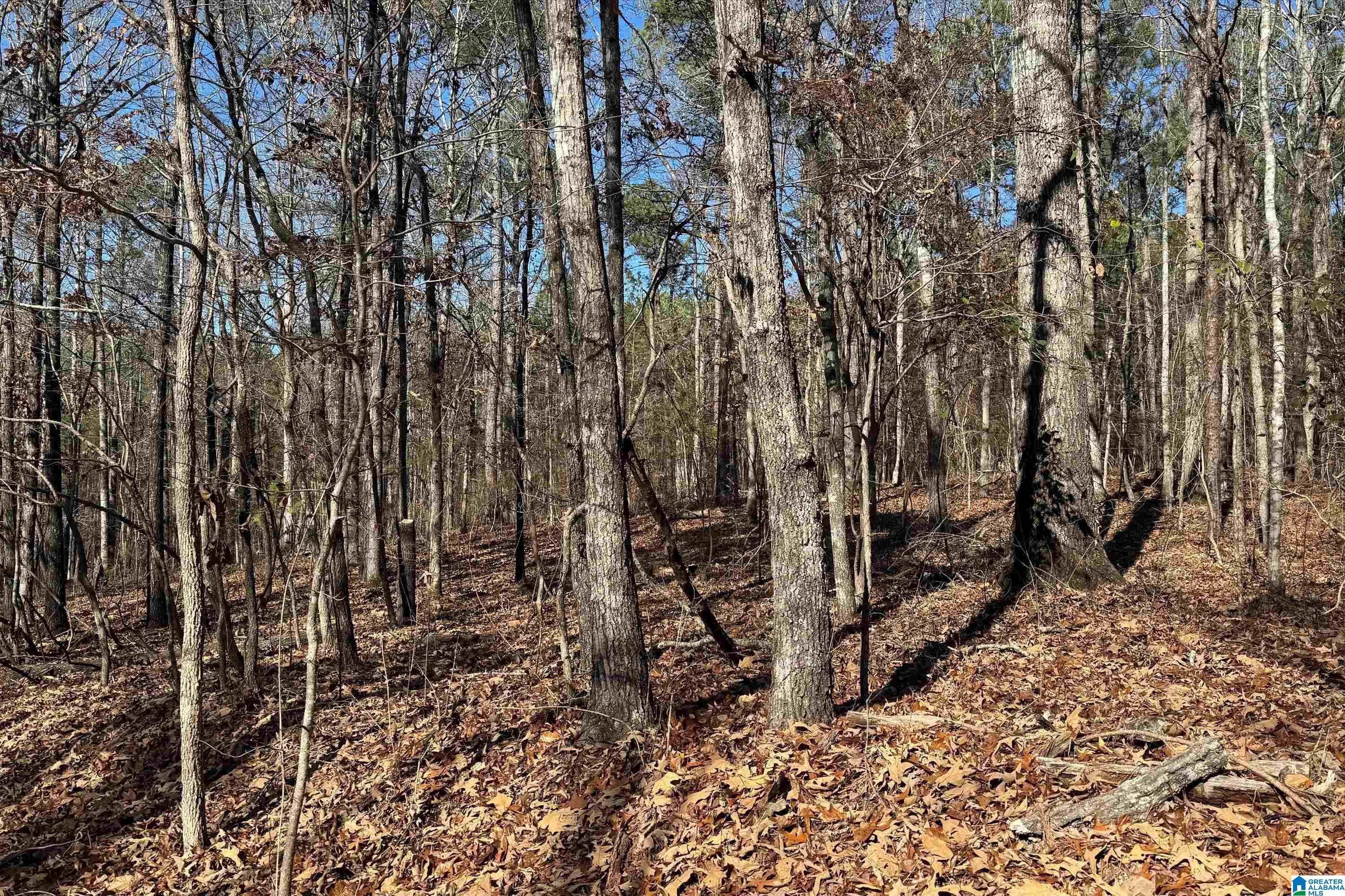 Lot 43 Beach Island Trace Property Photo 1