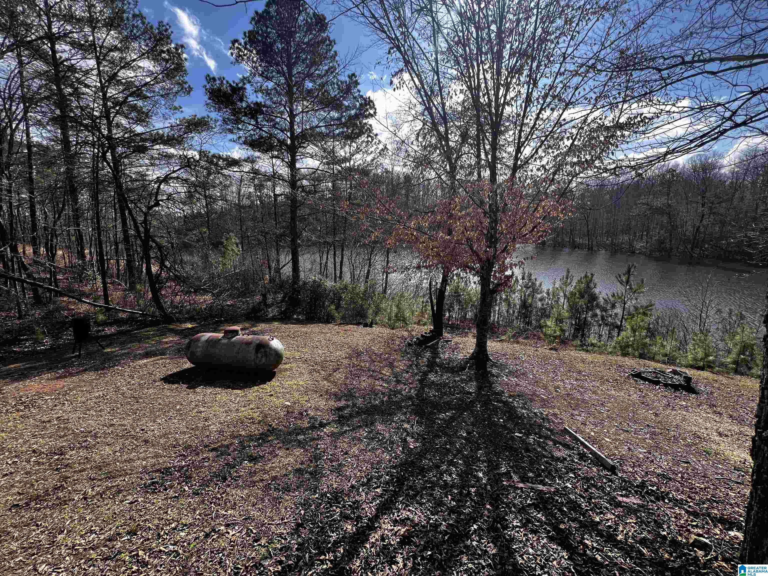 278 County Road 449 Property Photo 22