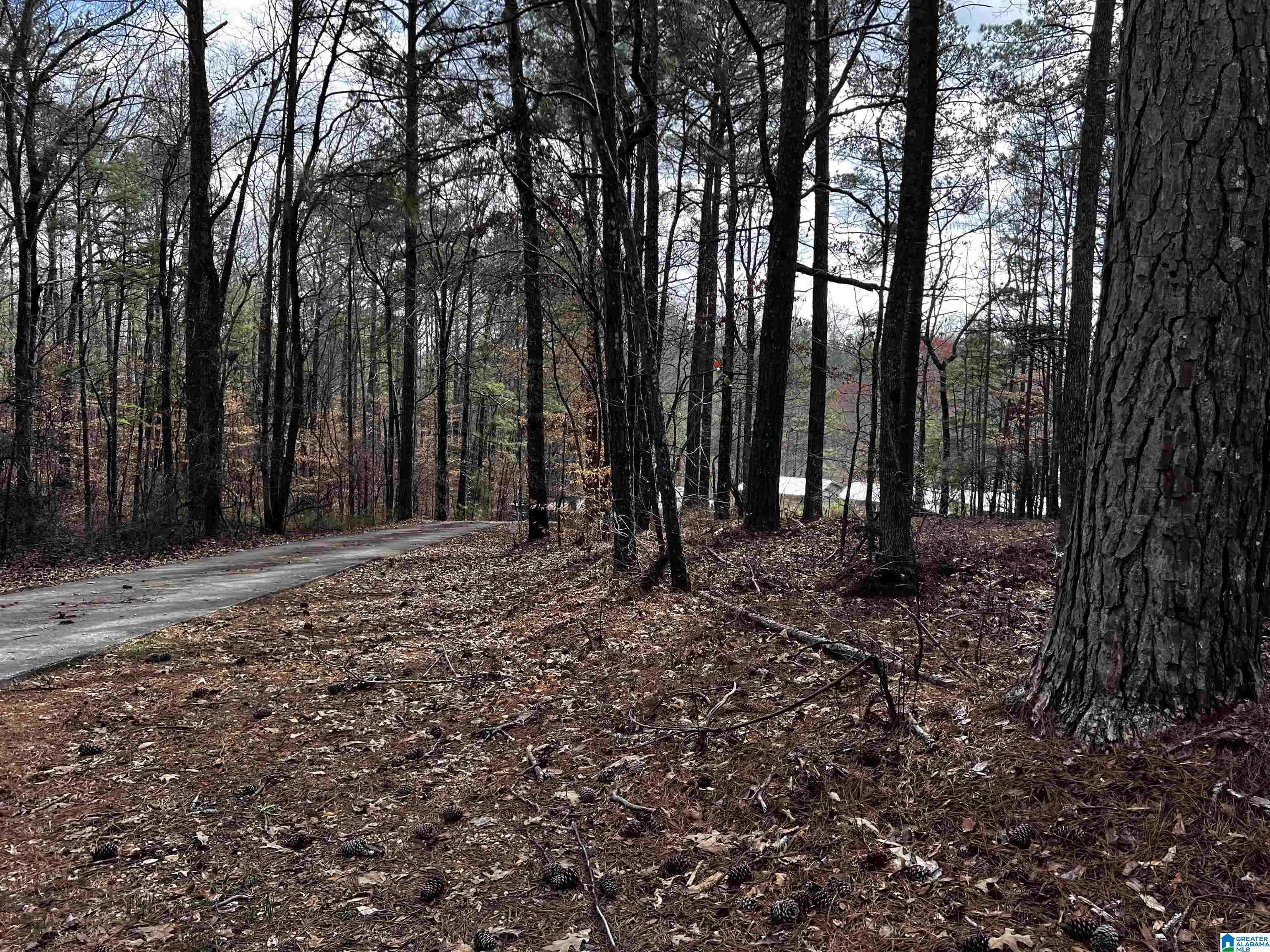 278 County Road 449 Property Photo 23