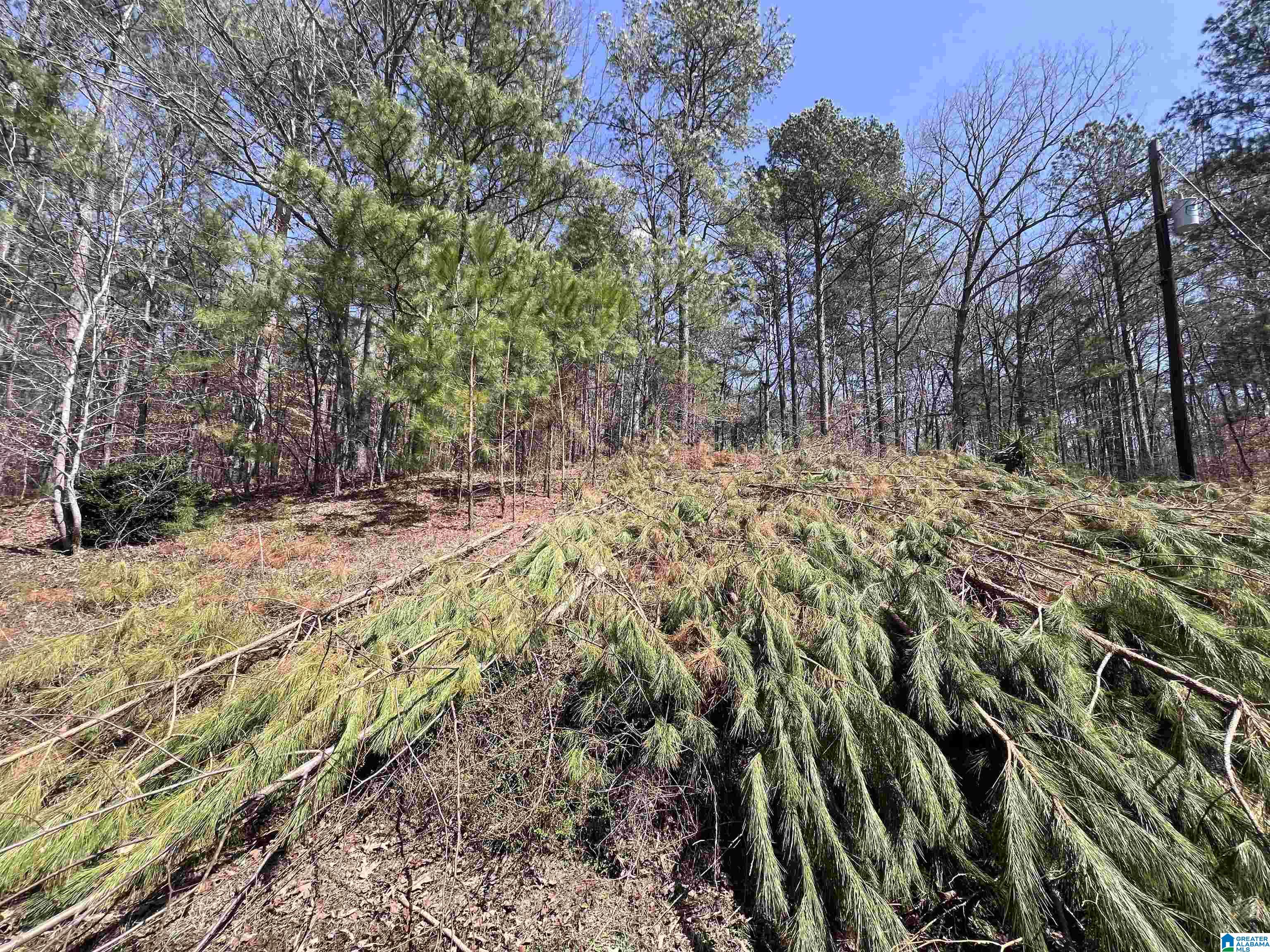 278 County Road 449 Property Photo 24