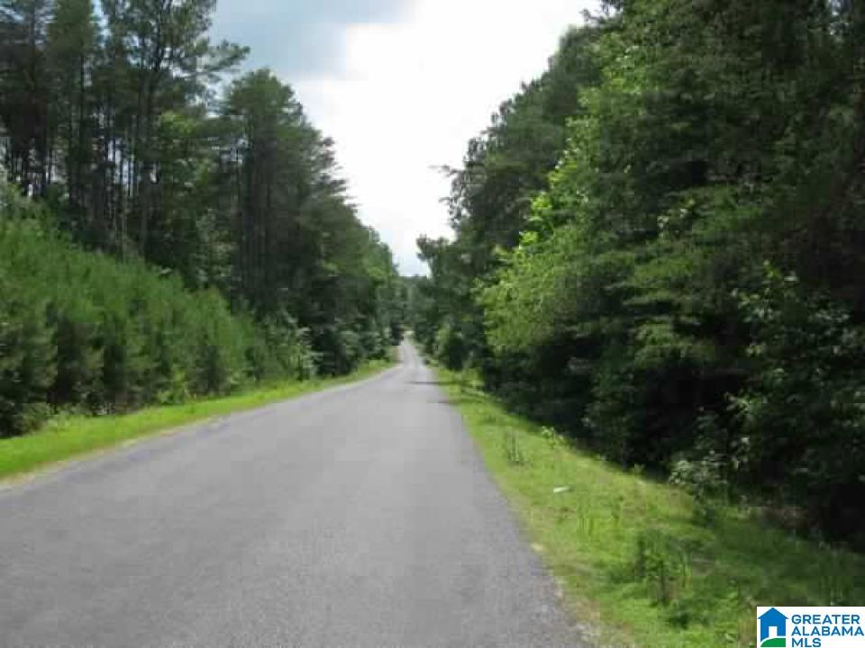 0 COUNTY ROAD 141