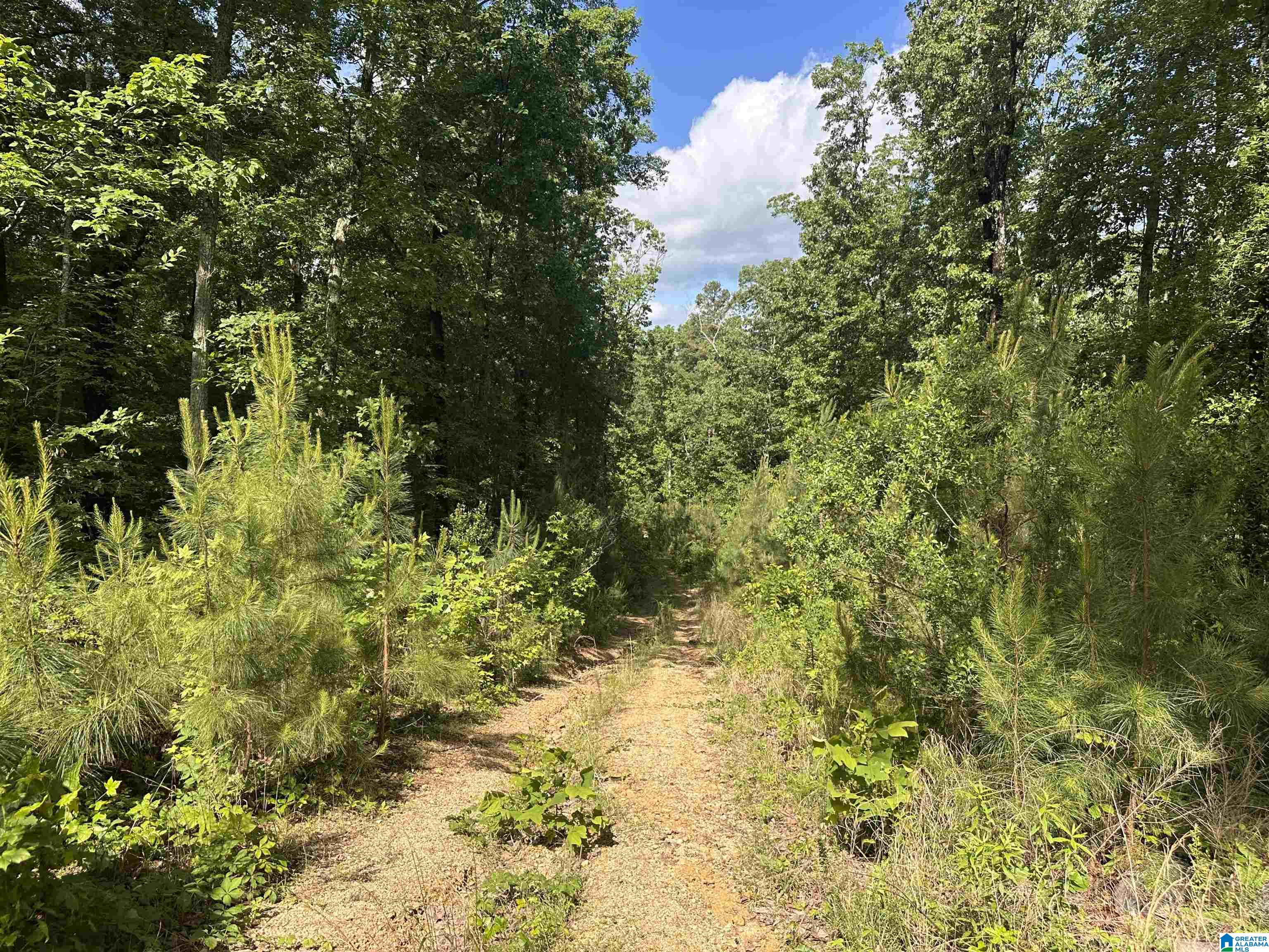55741 Highway 25 Property Photo
