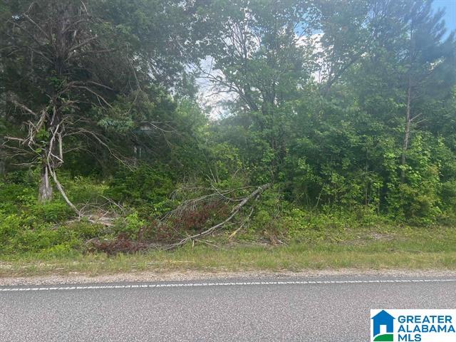 2174 County Highway 34 Property Photo 1