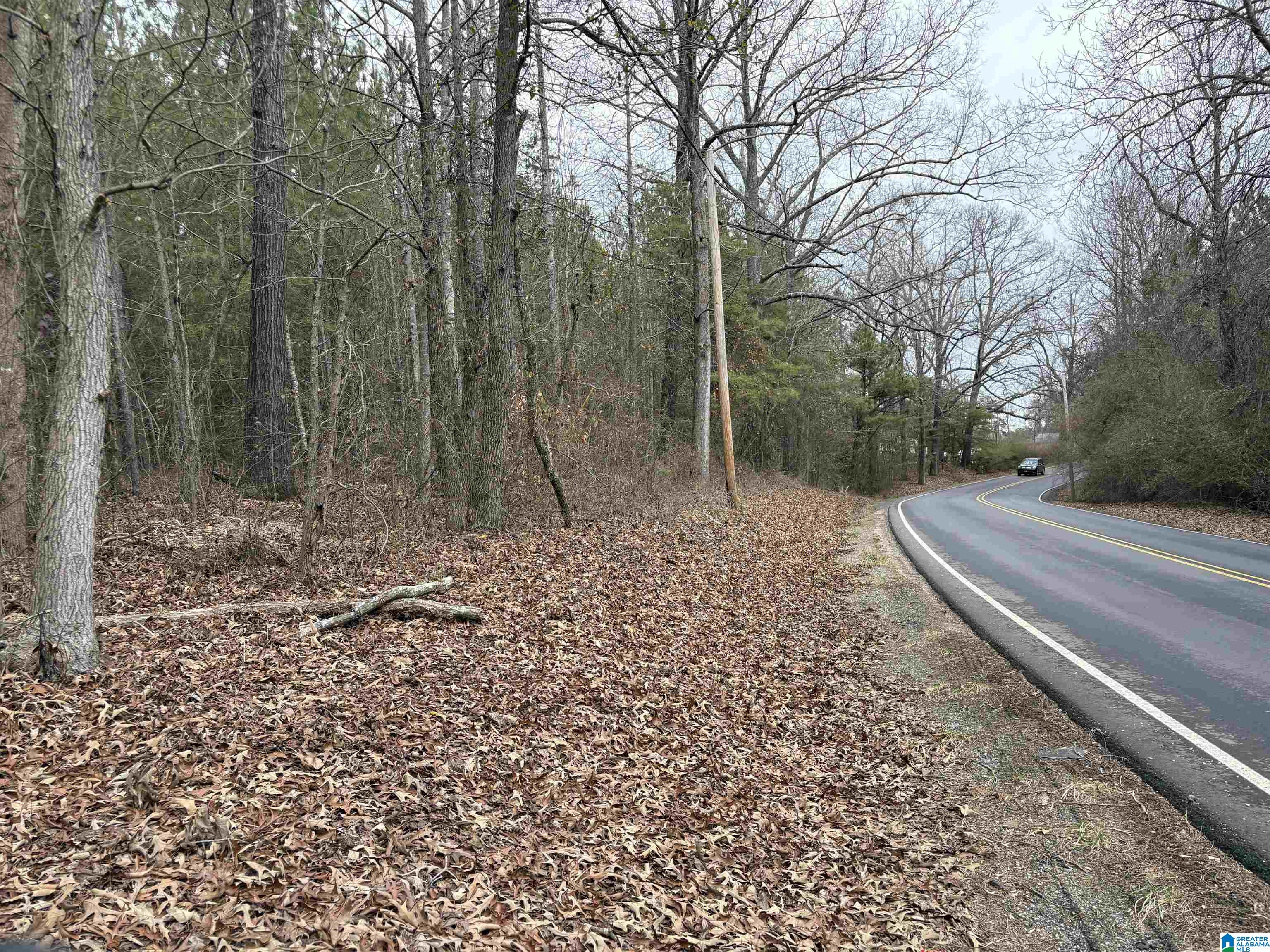 2590 Mud Creek Road Property Photo