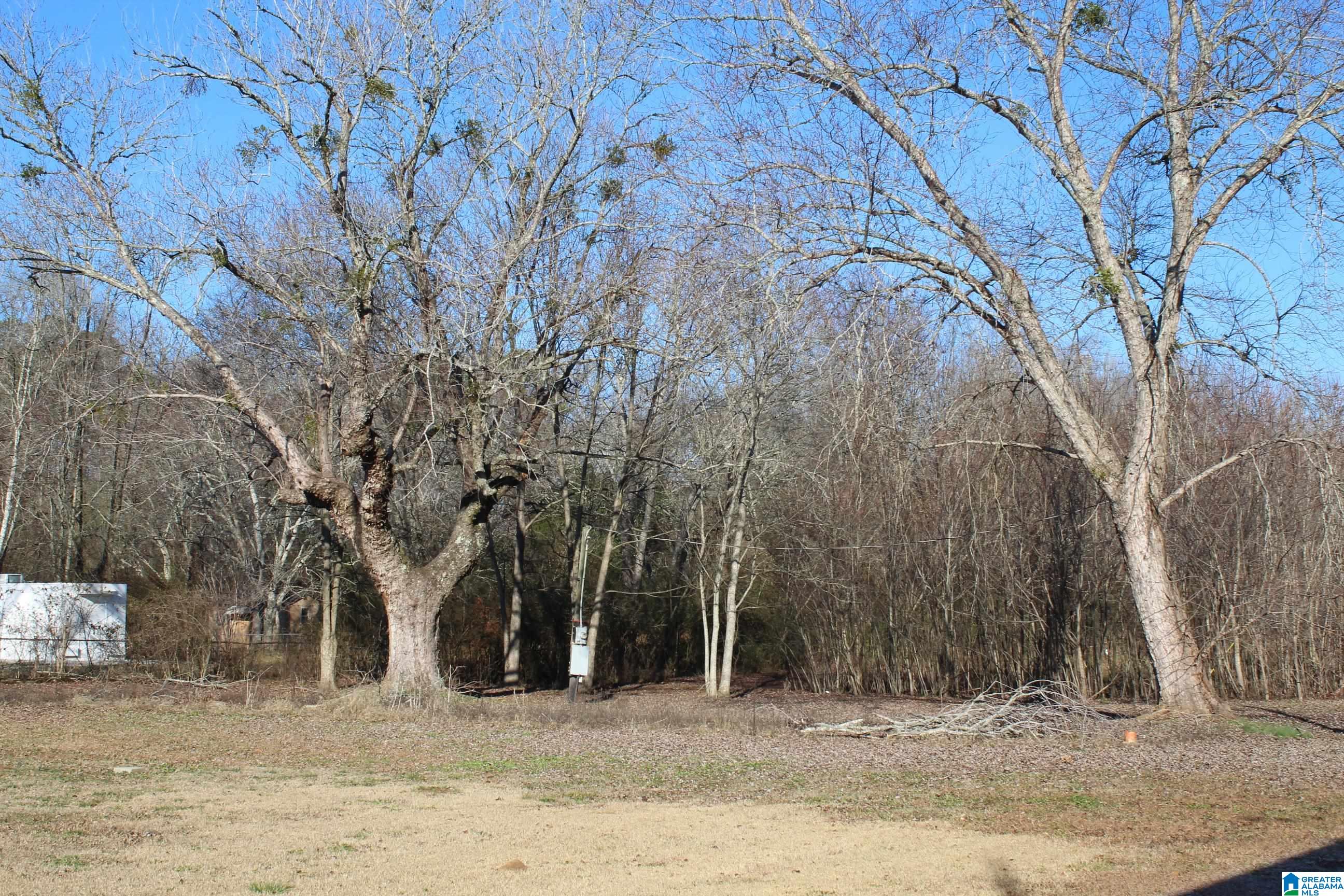 2037 Bynum Boulevard Property Photo 8